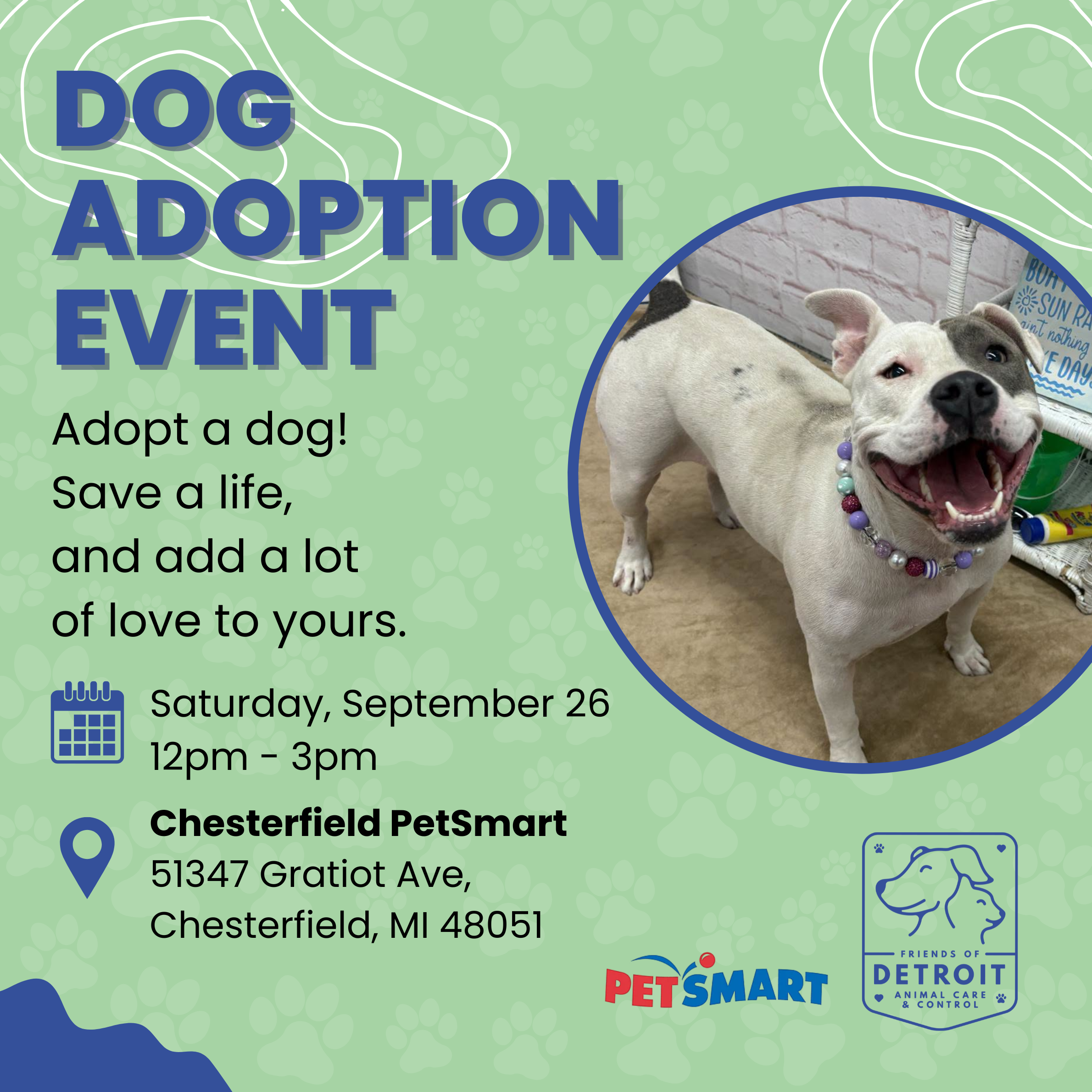 Dog Adoption Event at PetSmart in Chesterfield