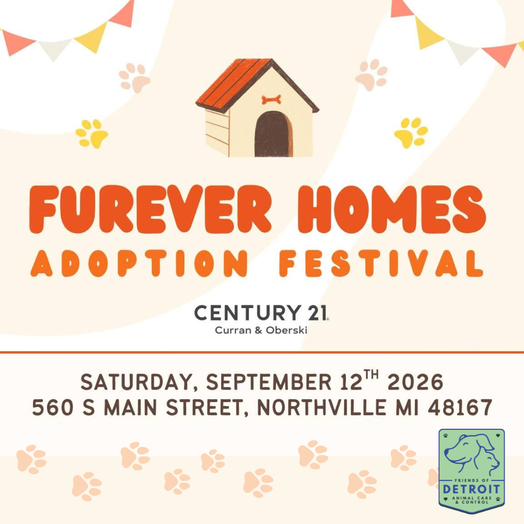Furever Homes Adoption Festival