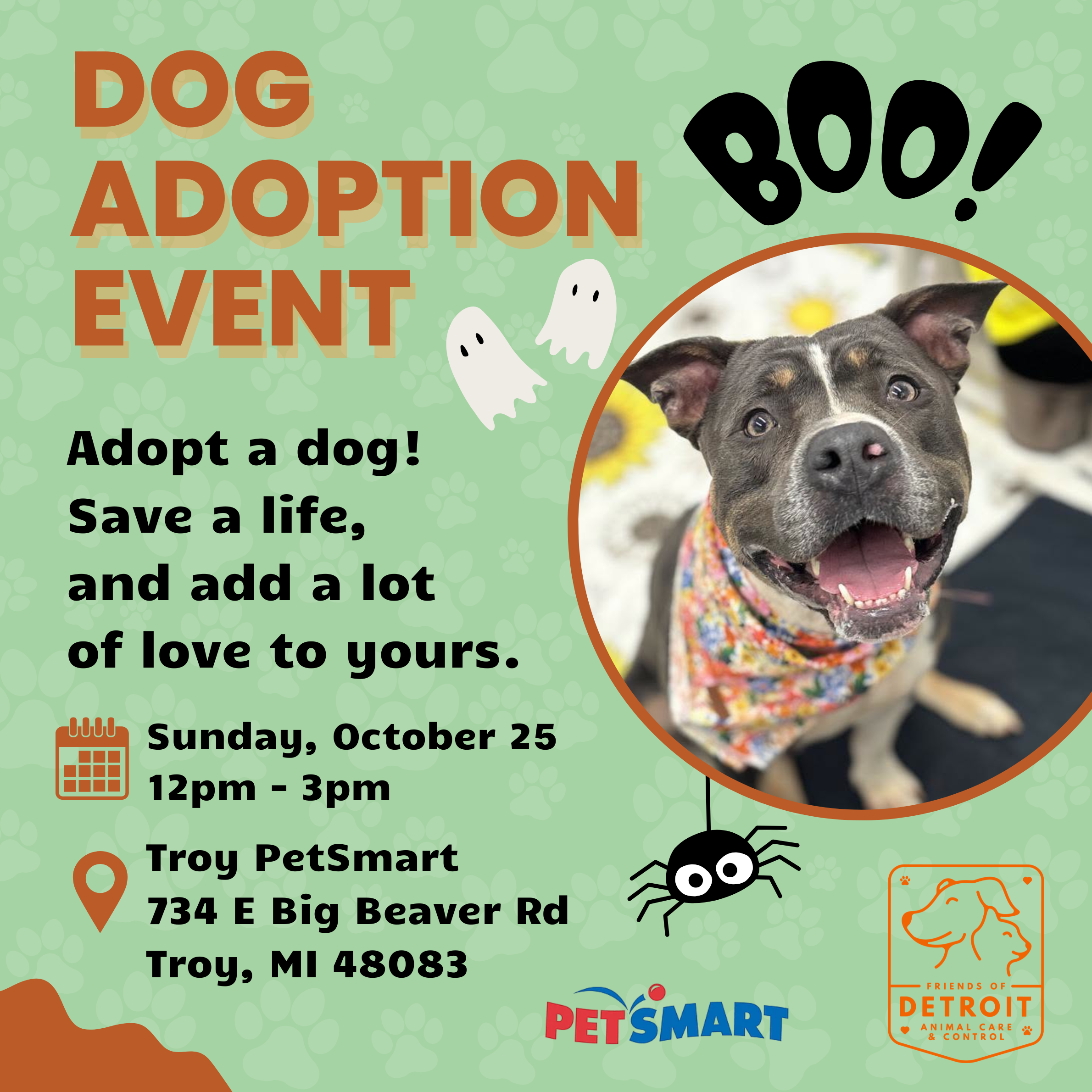 Dog Adoption Event at Troy PetSmart