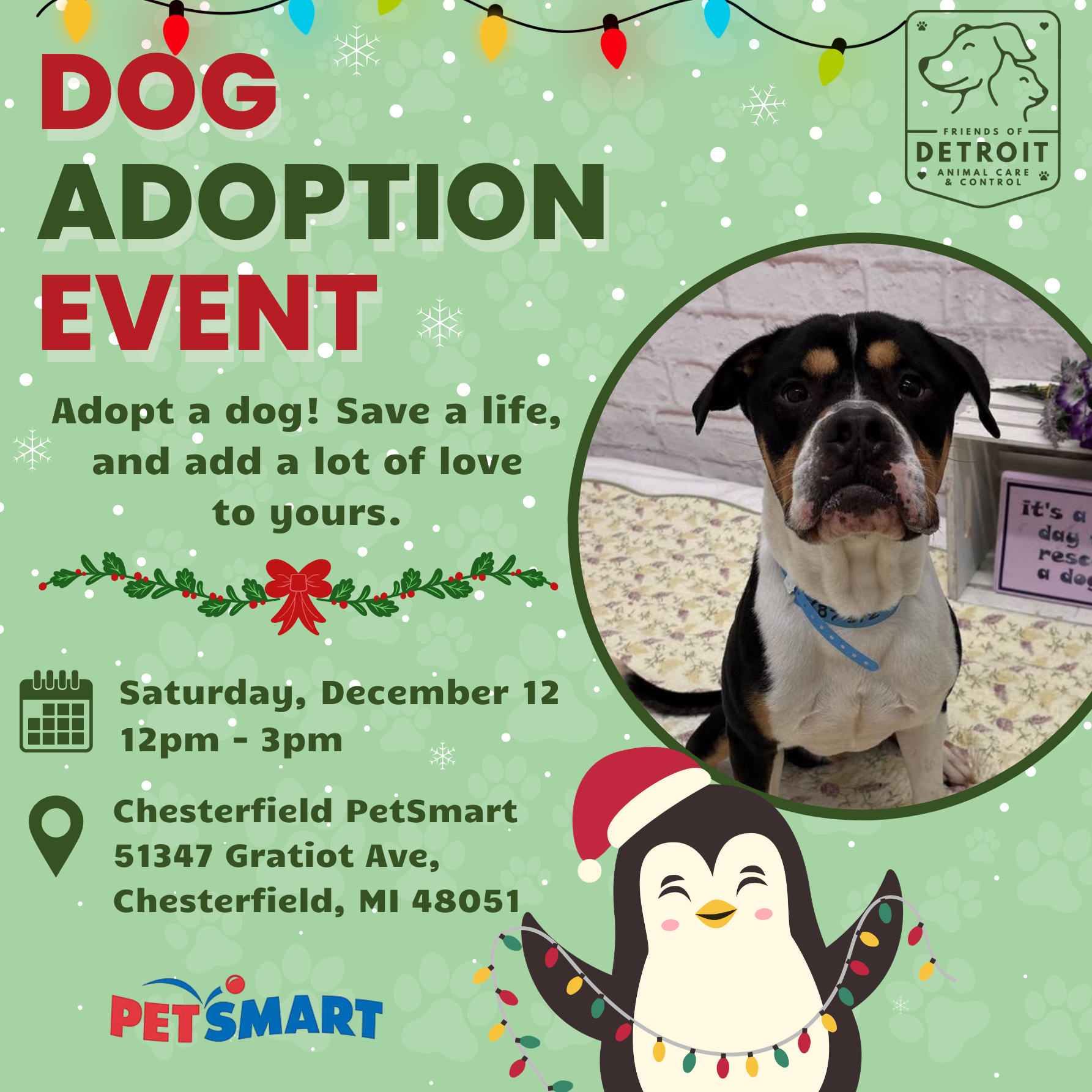 Dog Adoption Event at the Chesterfield PetSmart
