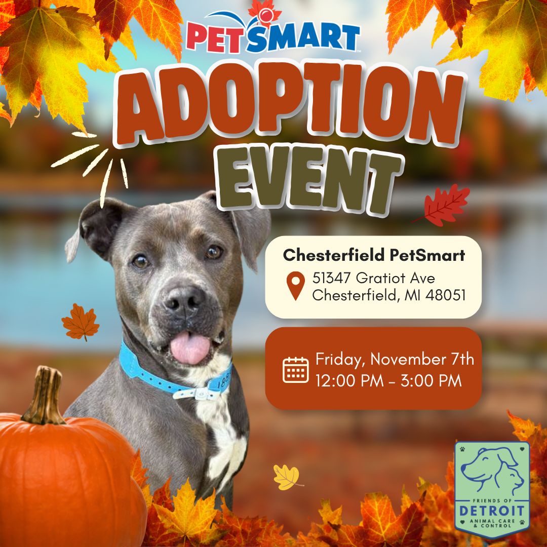 Dog Adoption Event at the Chesterfield PetSmart