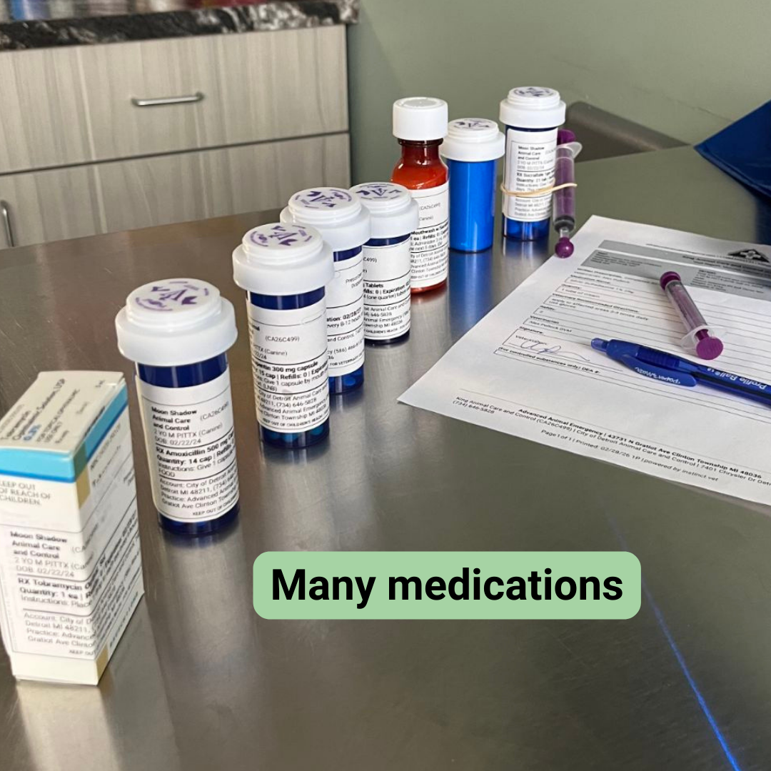 A line-up of seven different medications that King needs for recovery
