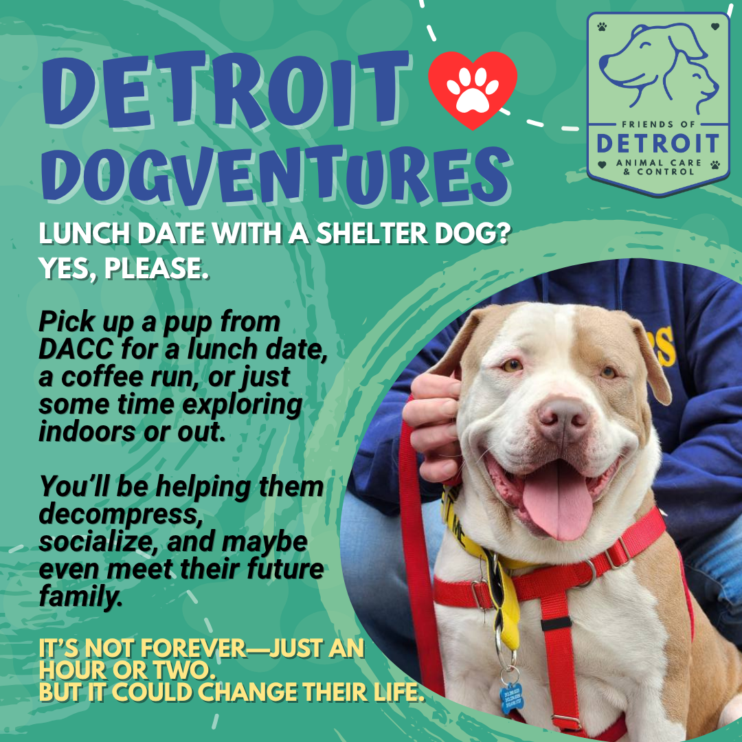Detroit Dogventures are BACK!