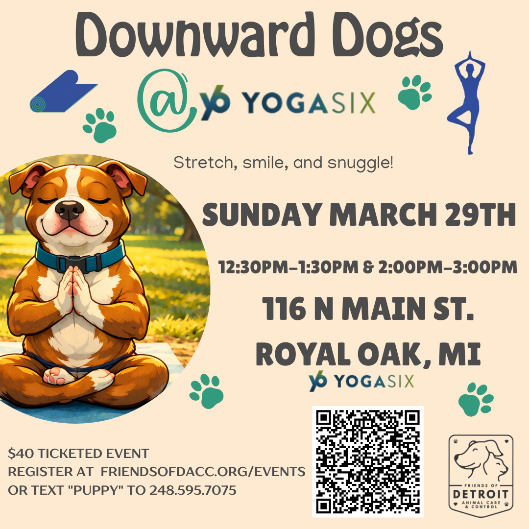 A cartoon dog in full lotus with the information for puppy yoga