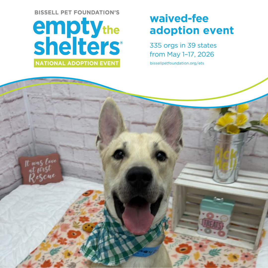 The information for EmptyTheShelters with a picture of a very cute smiling dog