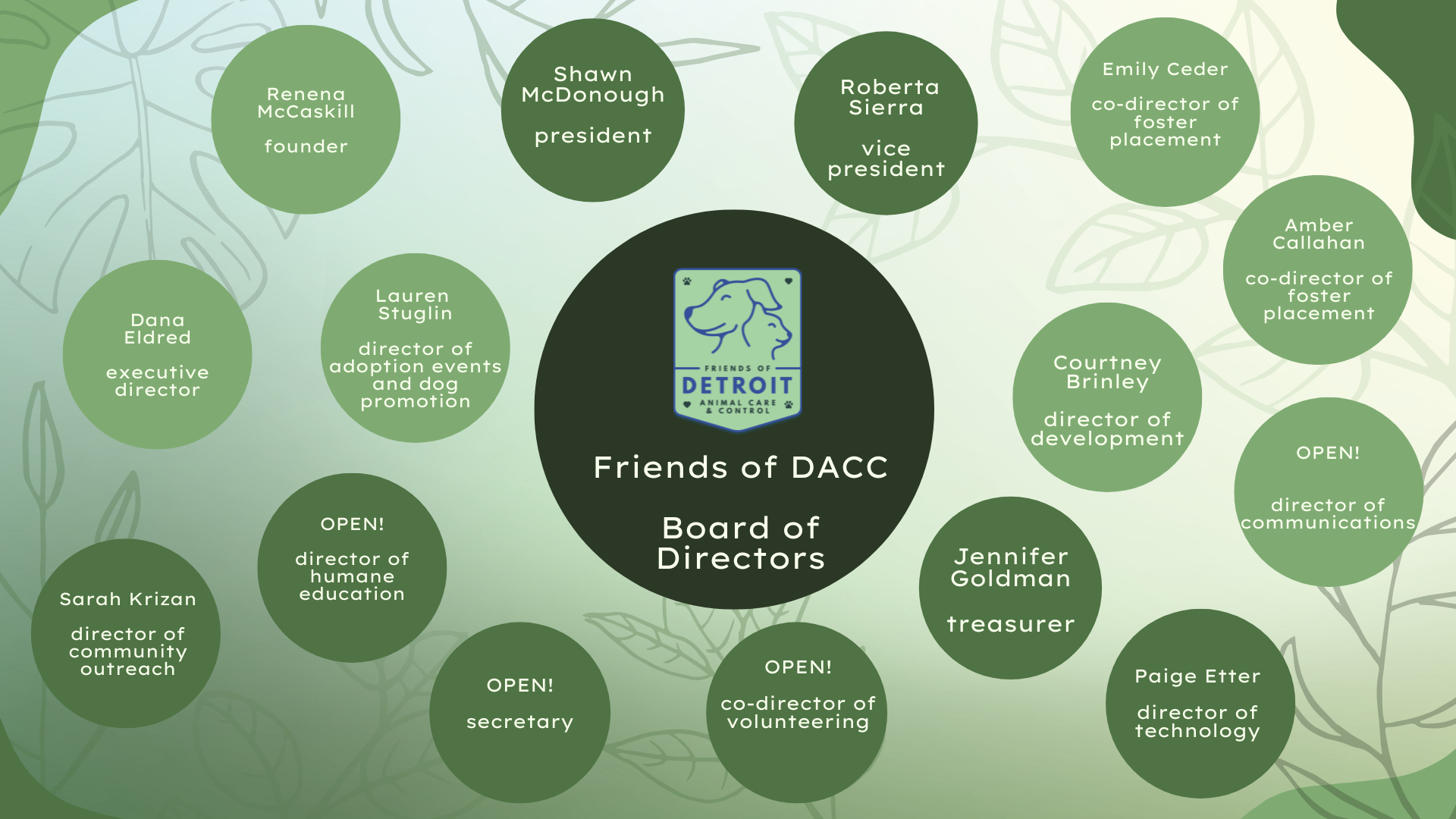An inforgraphic displaying the names and positions of the FoDACC board of directors