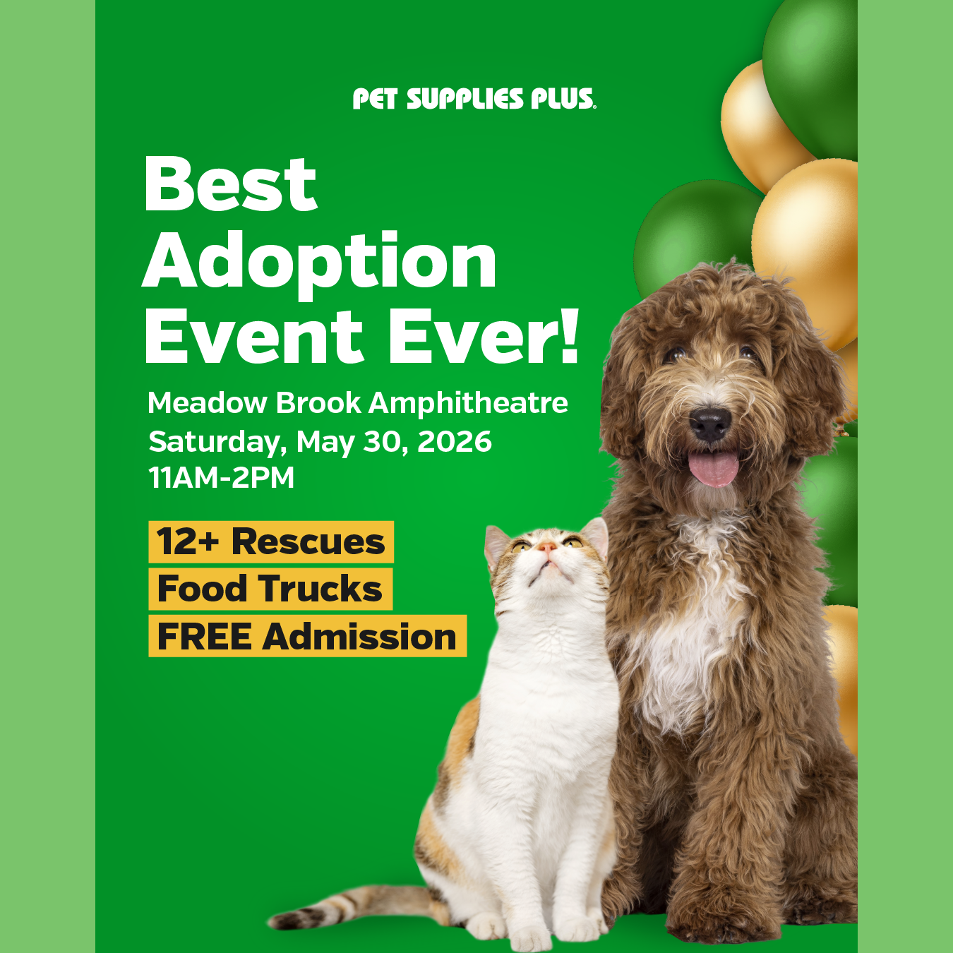 The information for the Best Adoption Event Ever with balloons and an extremely cute cat and dog