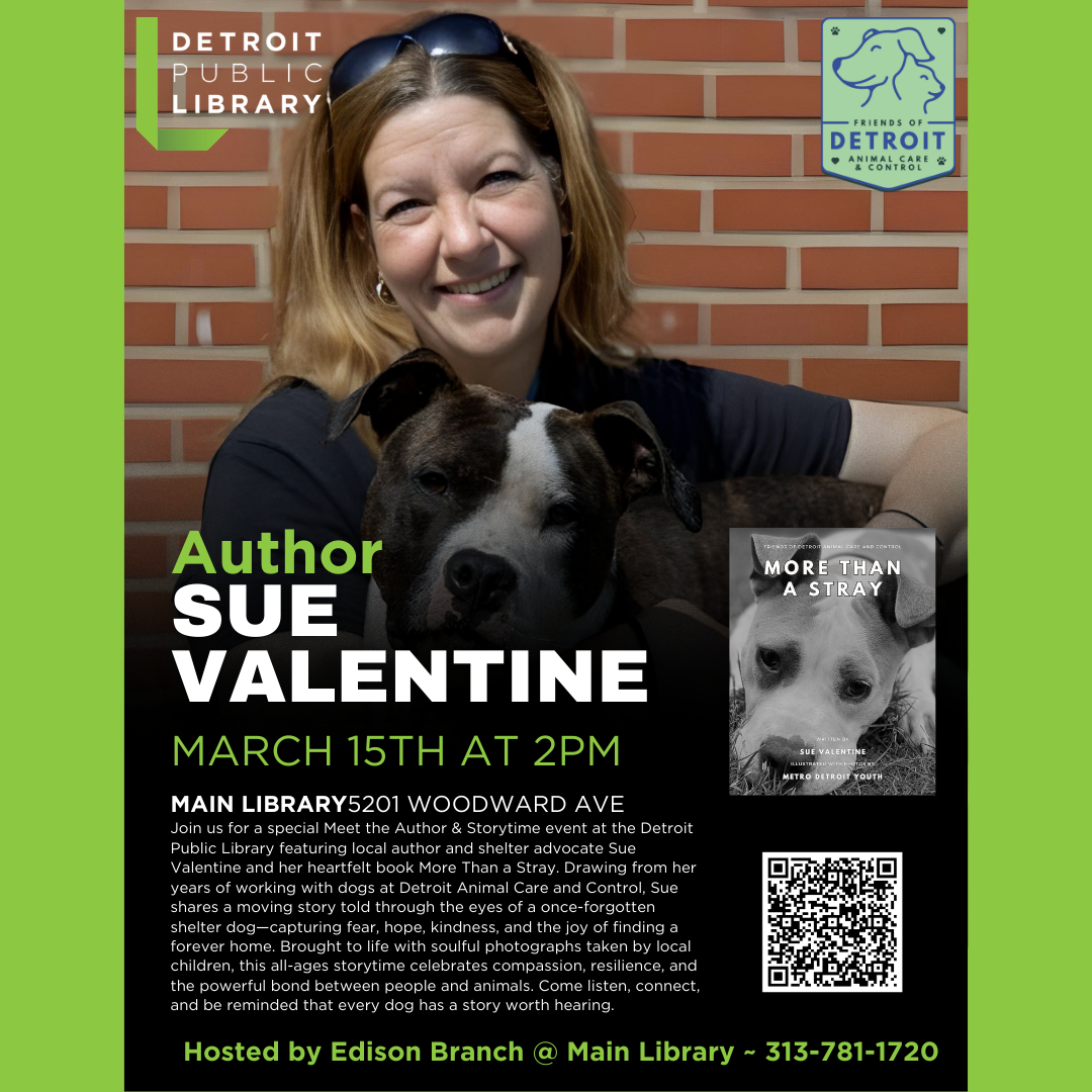 The flyer for More Than A Stray - author reading and storytime