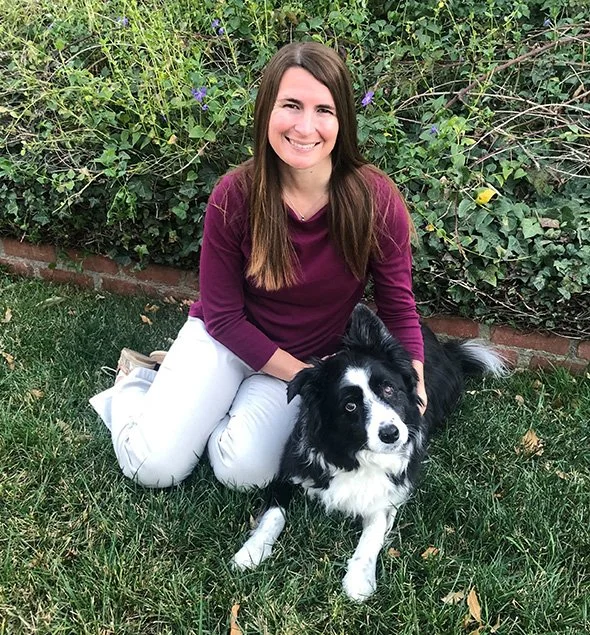 Mountain View Animal Hospital mountain-view-animal-hospital