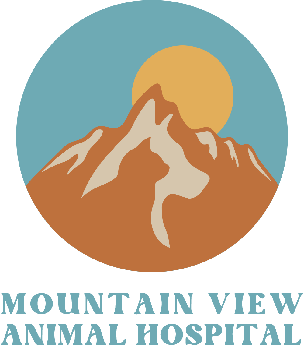 Mountain View Animal Hospital mountain-view-animal-hospital
