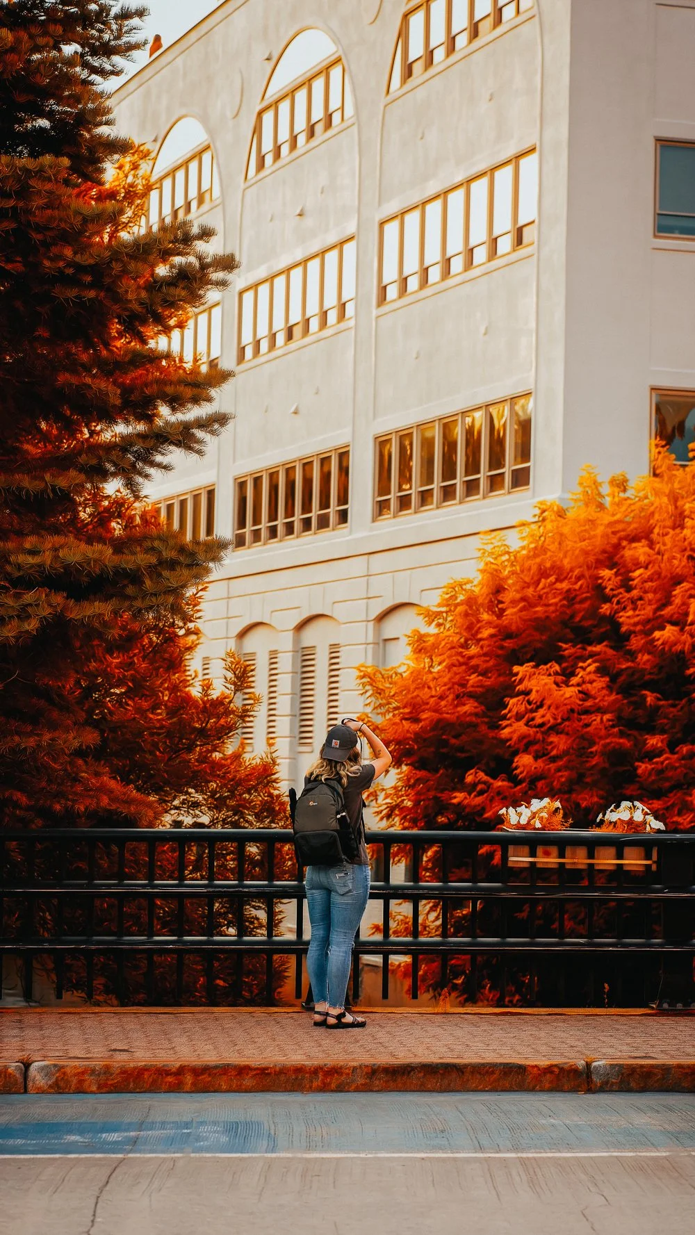 Teaganportait-1.jpg