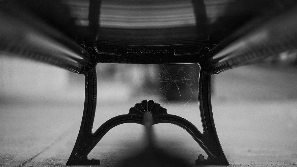 Spiderwebbench-1.jpg