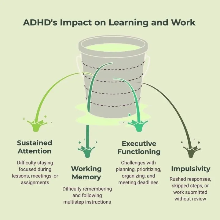 Infographic showing how ADHD affects attention, working memory, executive functioning, and impulsivity.