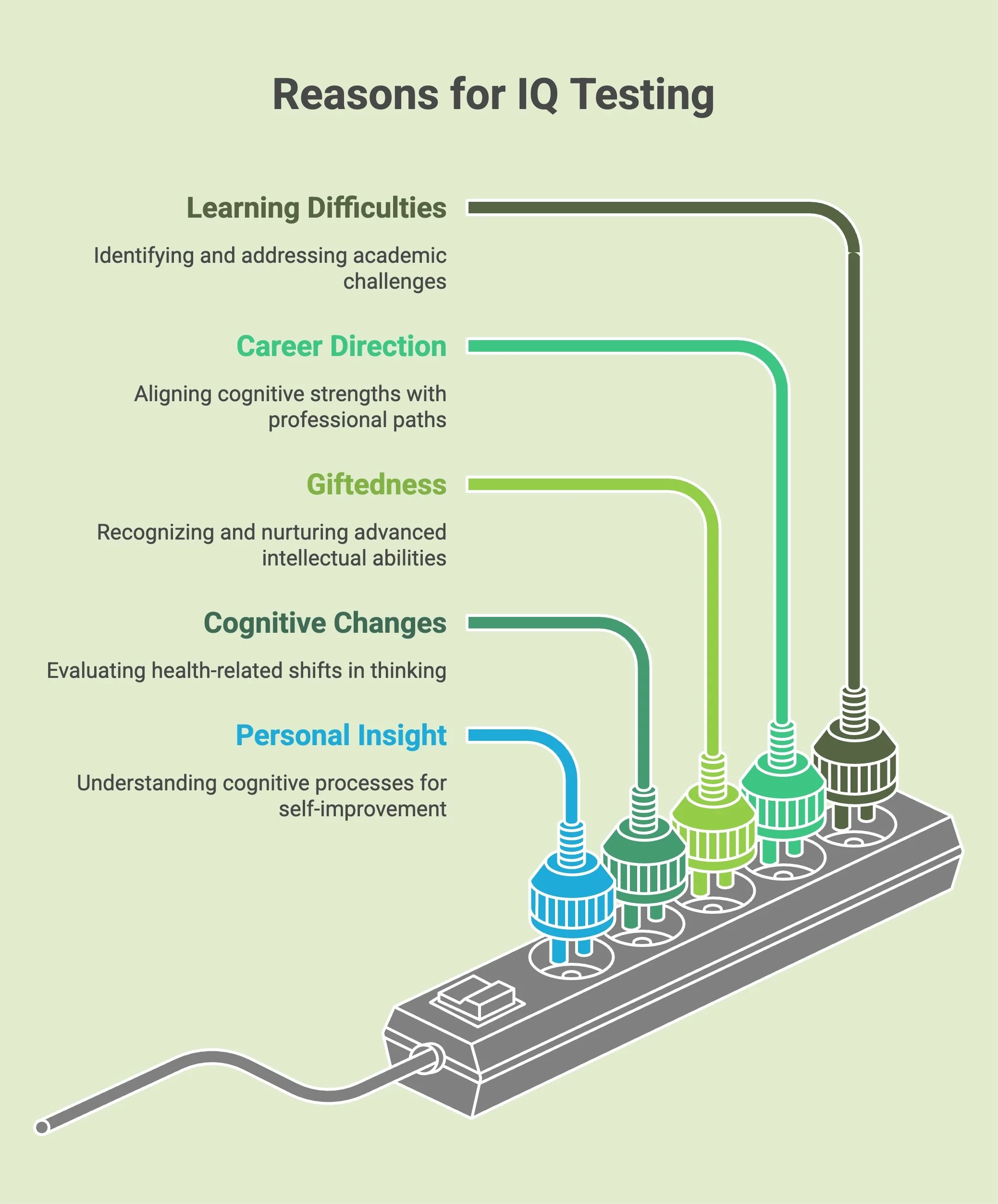 Infographic outlining reasons for IQ testing.