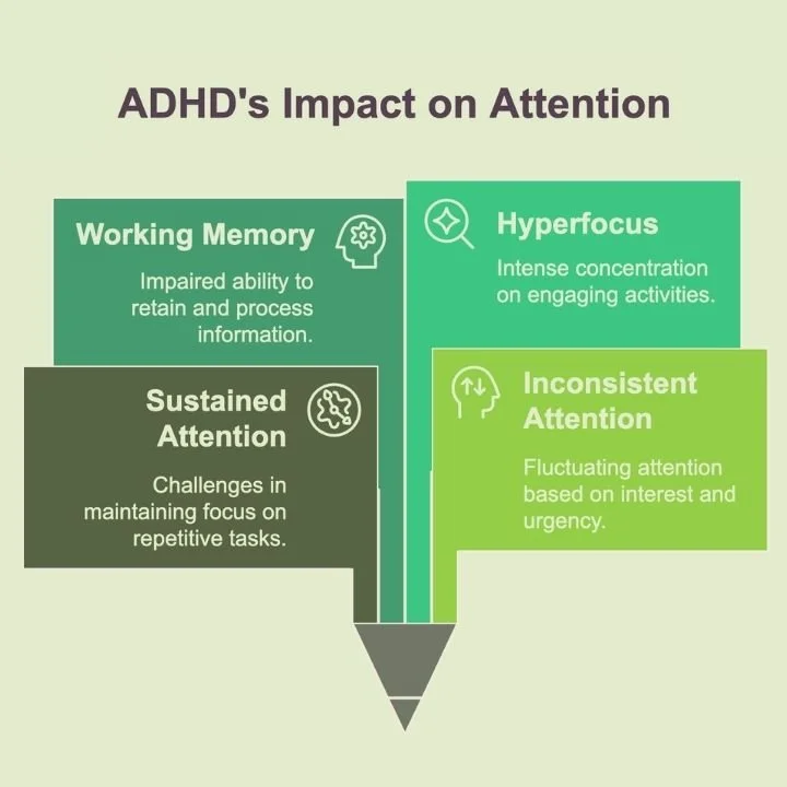 Infographic showing how ADHD affects attention and concentration.