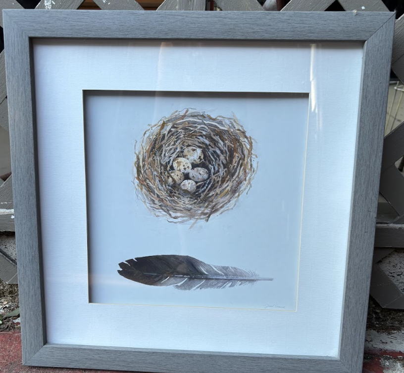Gray Wood Framed Nest & Feather Print 18"x18" $8 (ST70)