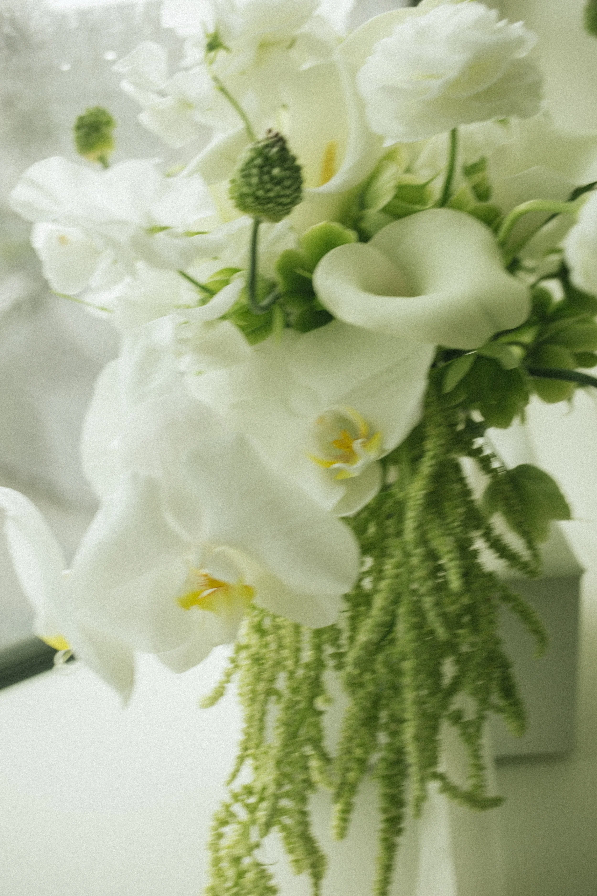 Victoria&JeffSmith_SneakPeek-1.jpg