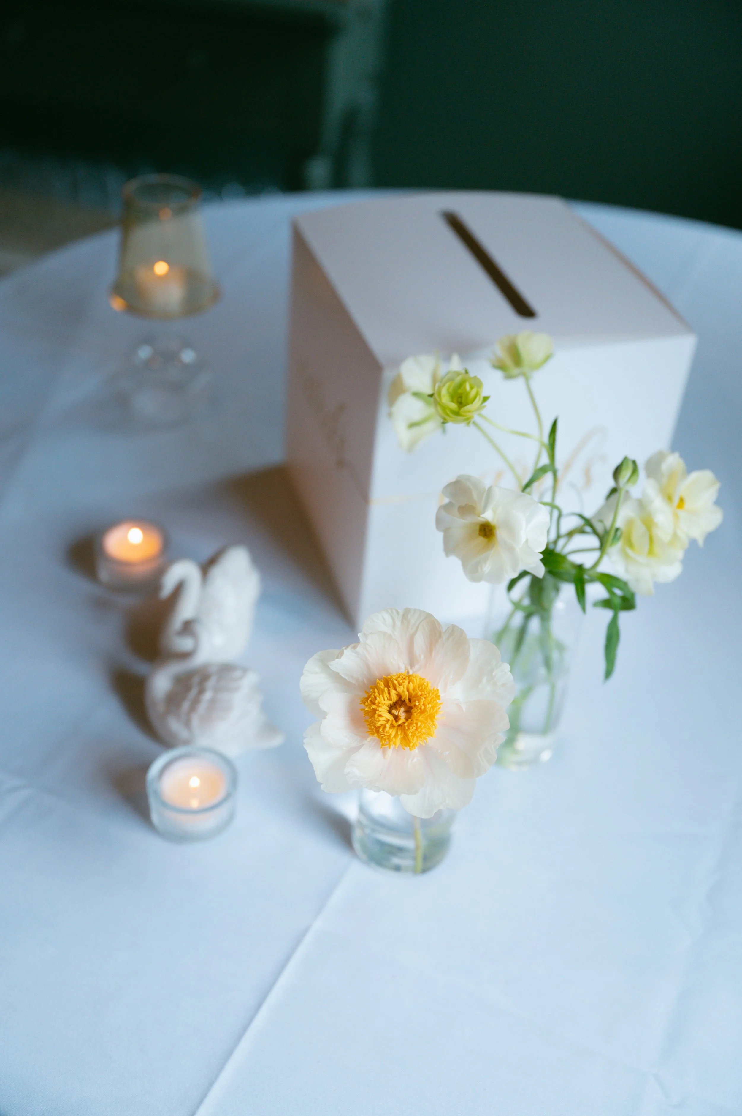 jerseyhore.initimate.wedding-795.jpg