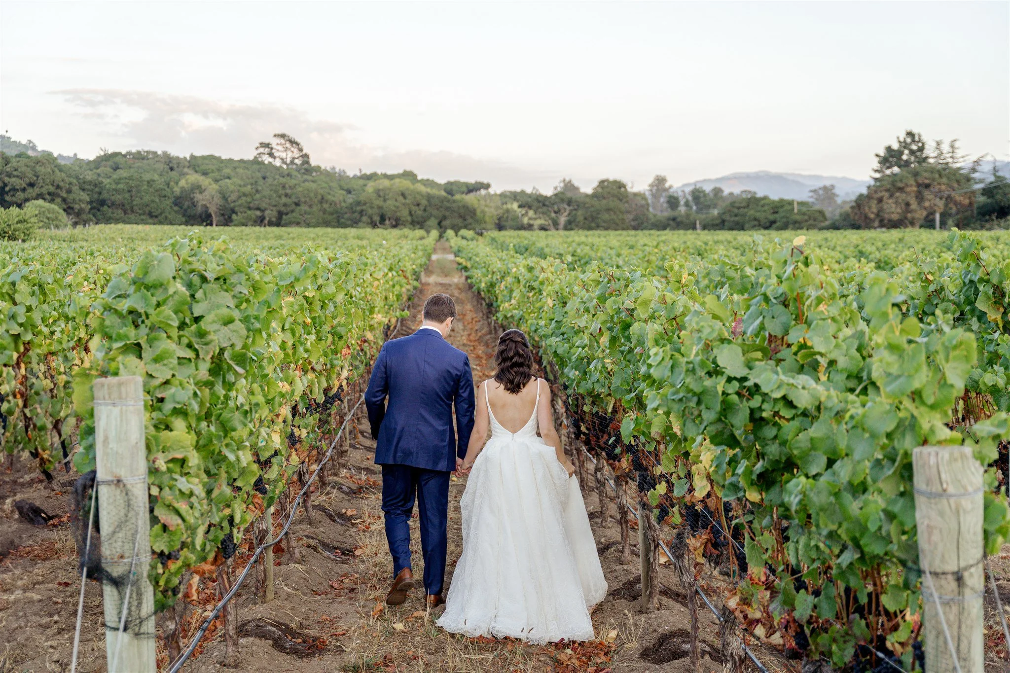 A bride and groom walk hand in hand down a dirt path between rows of lush green vineyard vines, seen from behind, with trees and hills in the distance under a soft, cloudy sky.