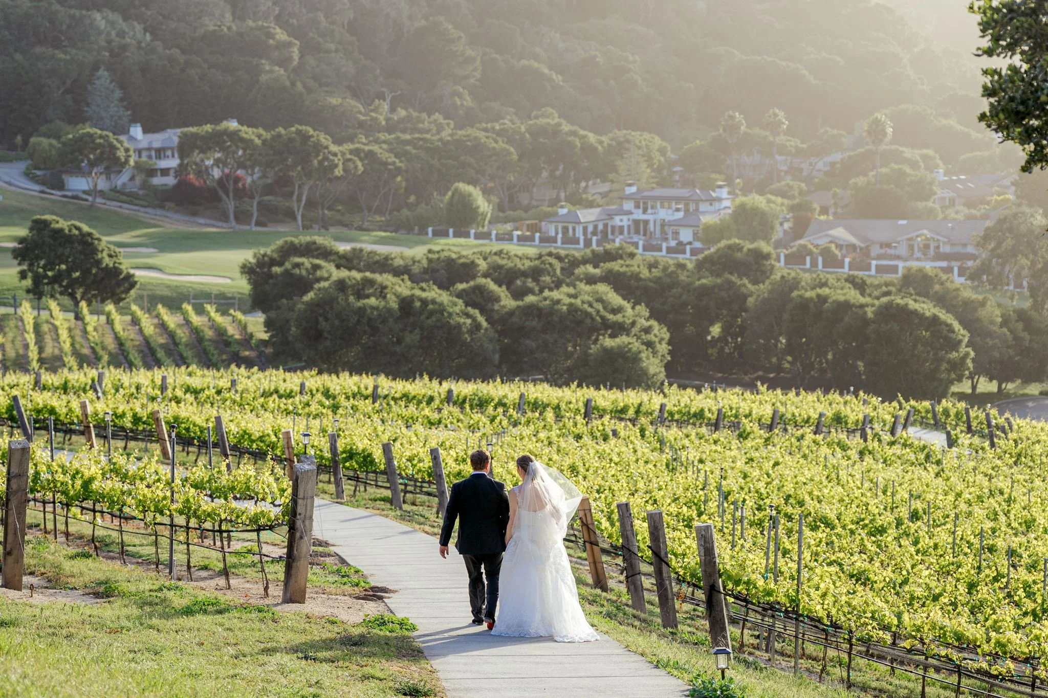 Newlywed couple walking through a sunlit vineyard at a Carmel Valley wedding venue.