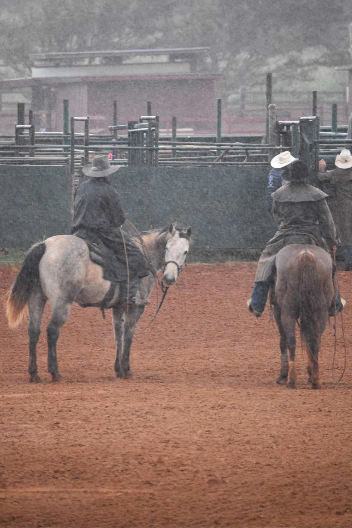 Rainout #1
