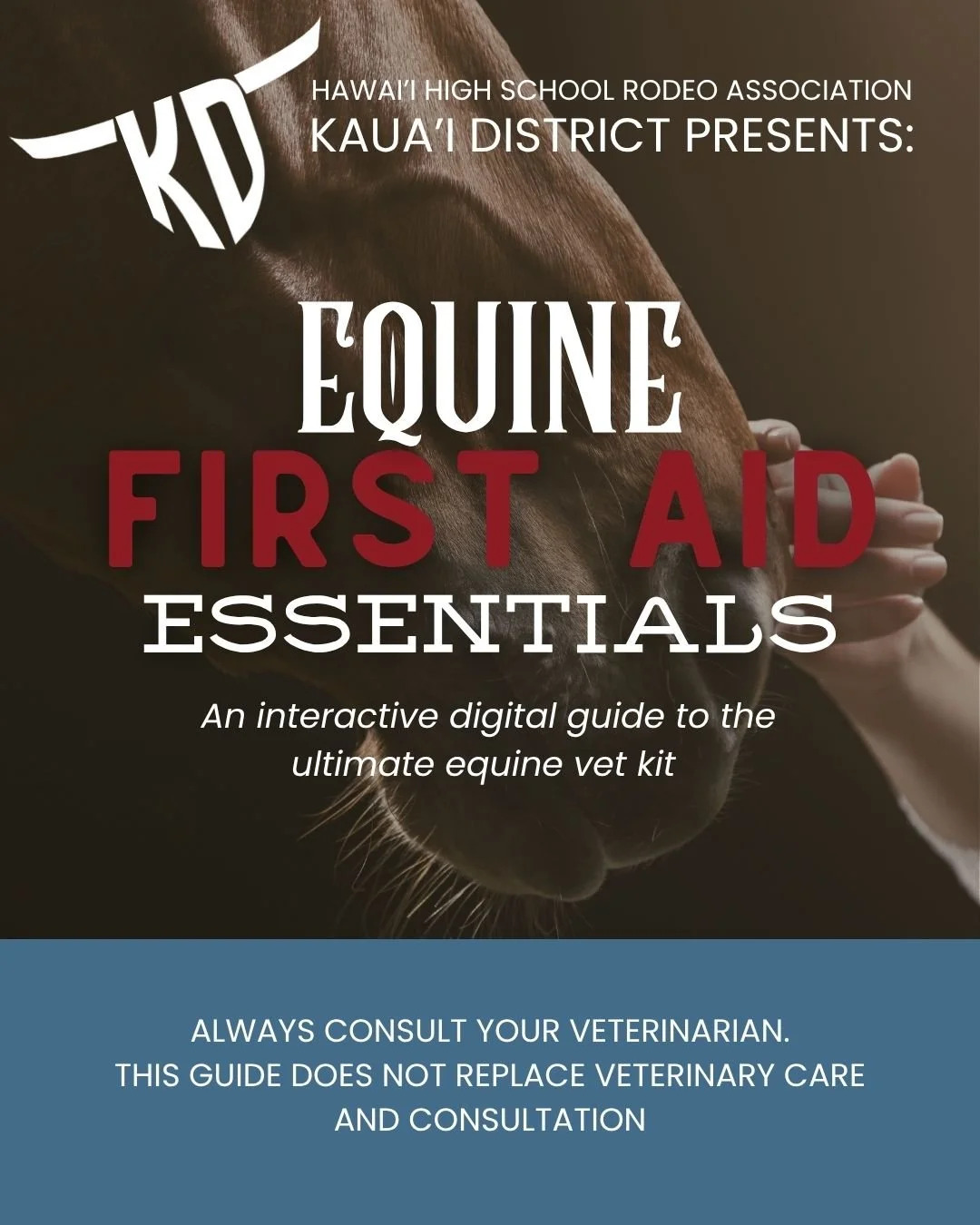 Equine First Aid Essentials- An interactive guide to the ultimate equine vet kit.