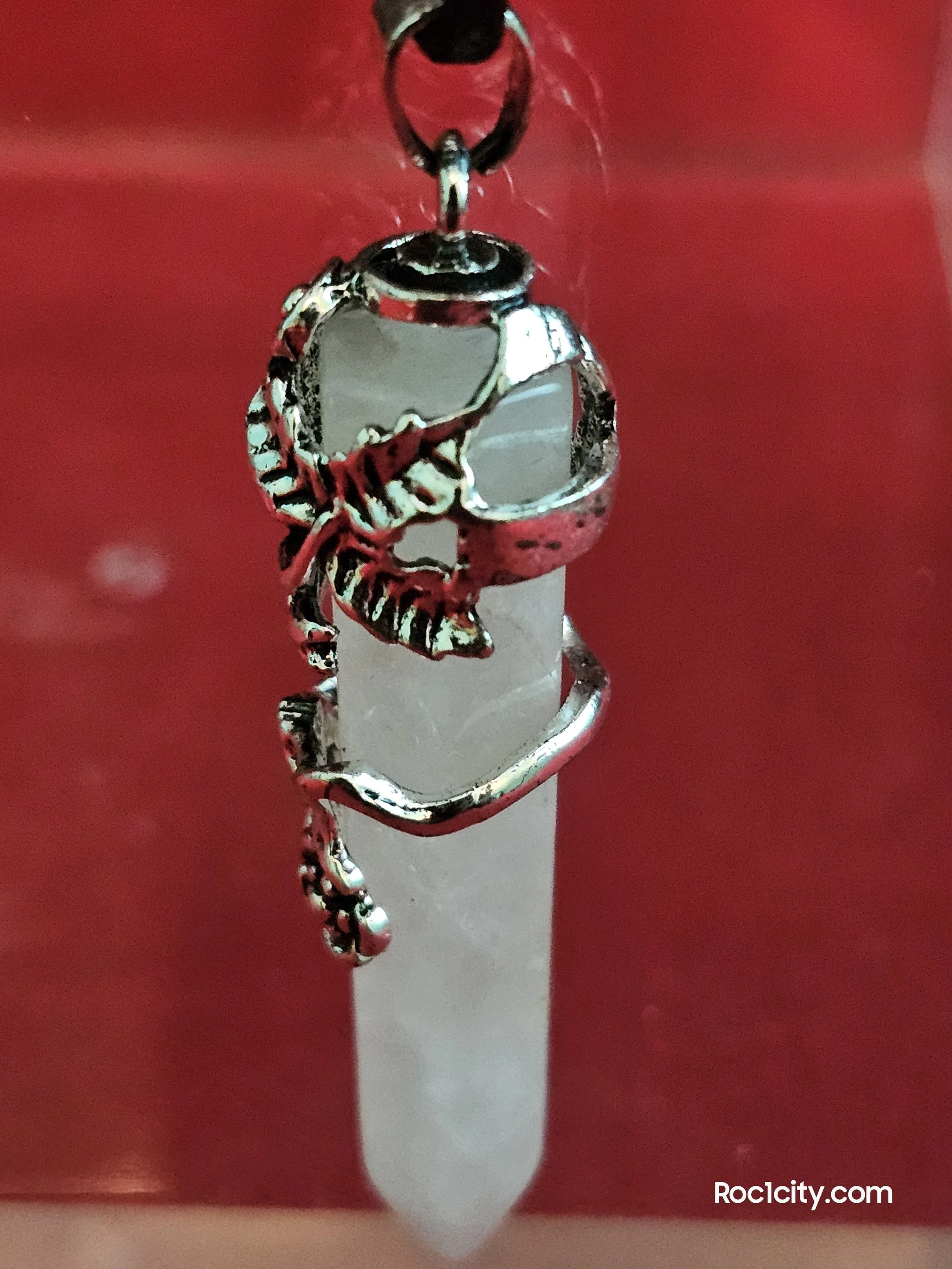 20250911_201323.jpg