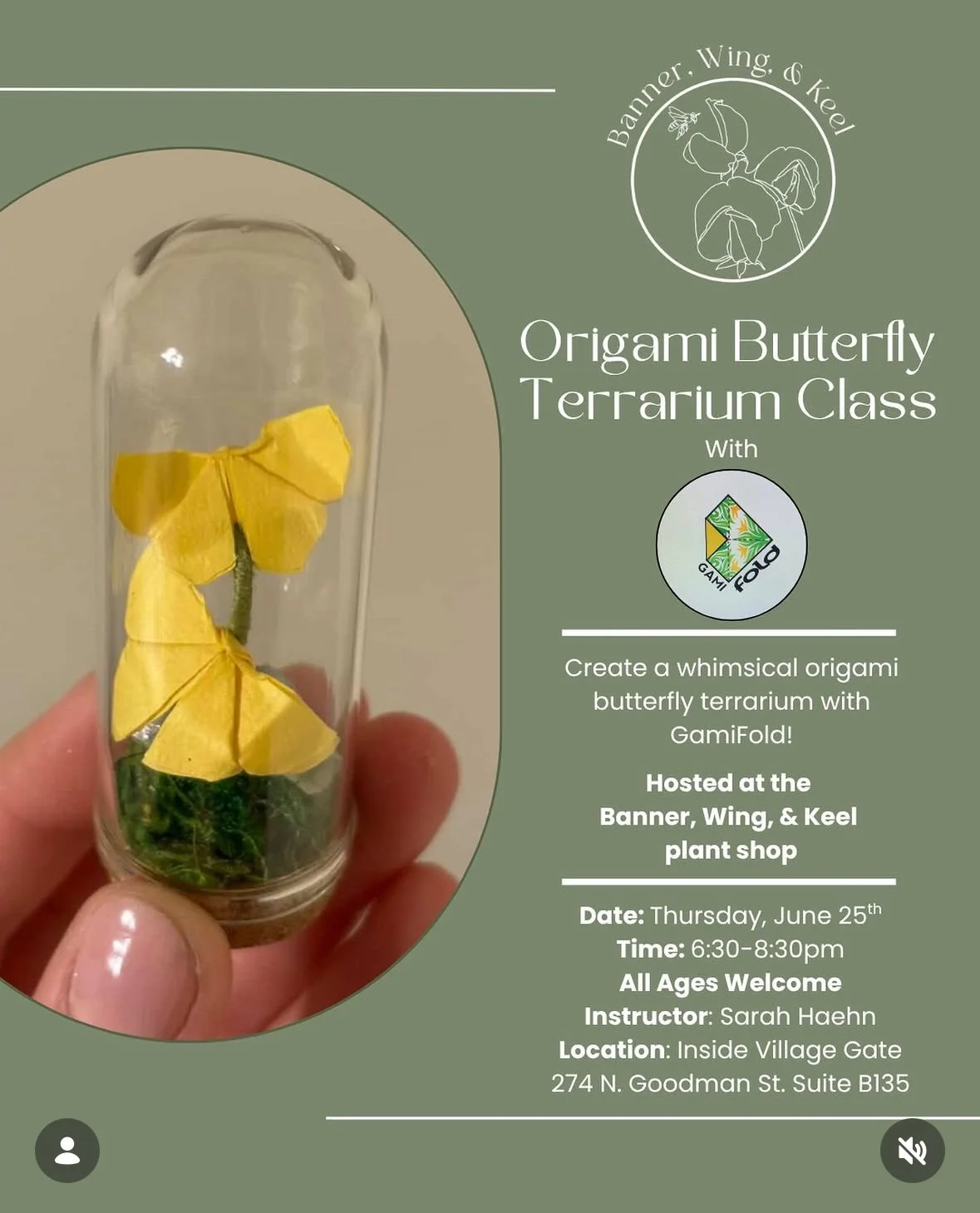 Origami Butterfly Terrarium Class