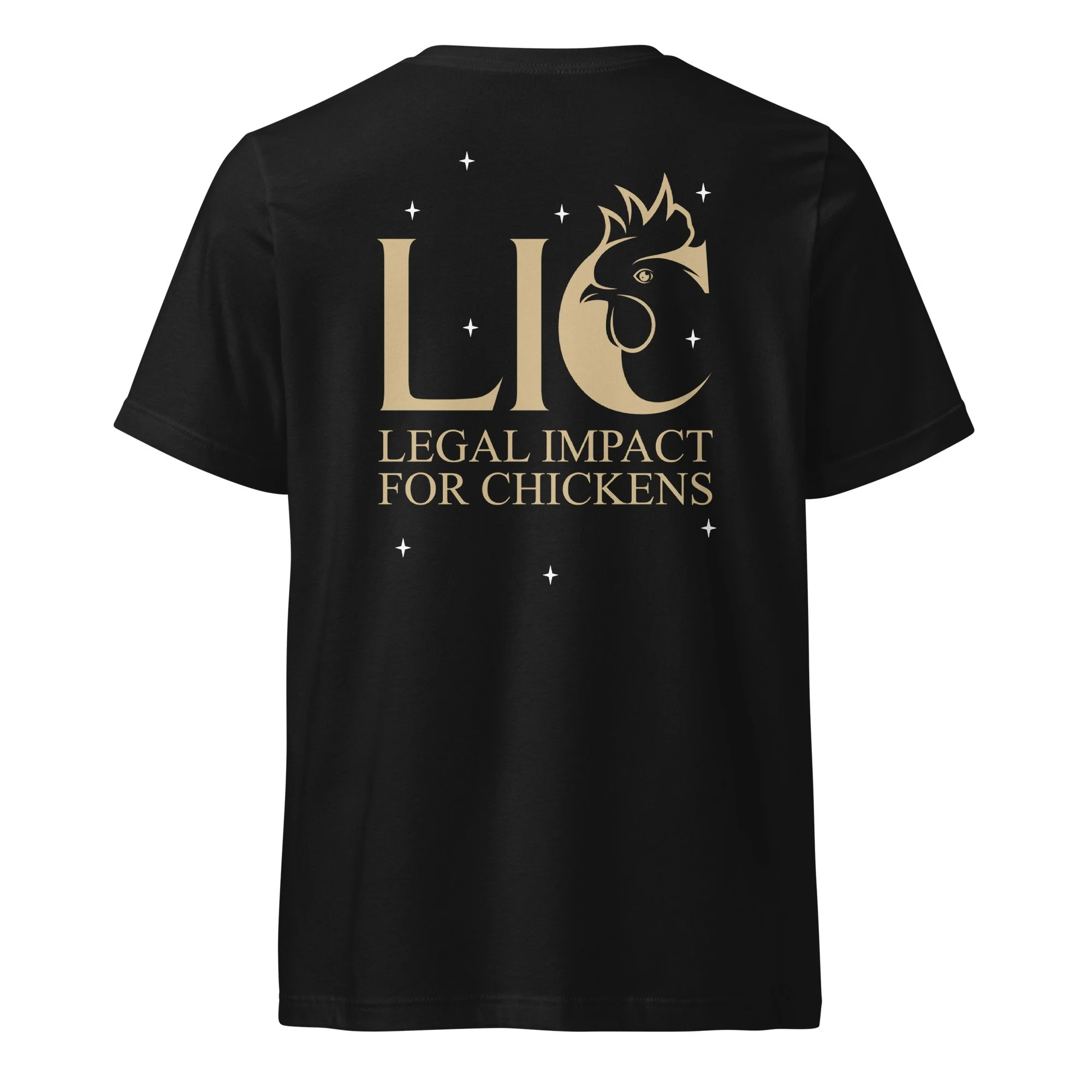unisex-v-neck-tee-black-back-6a998ccd21894.jpg