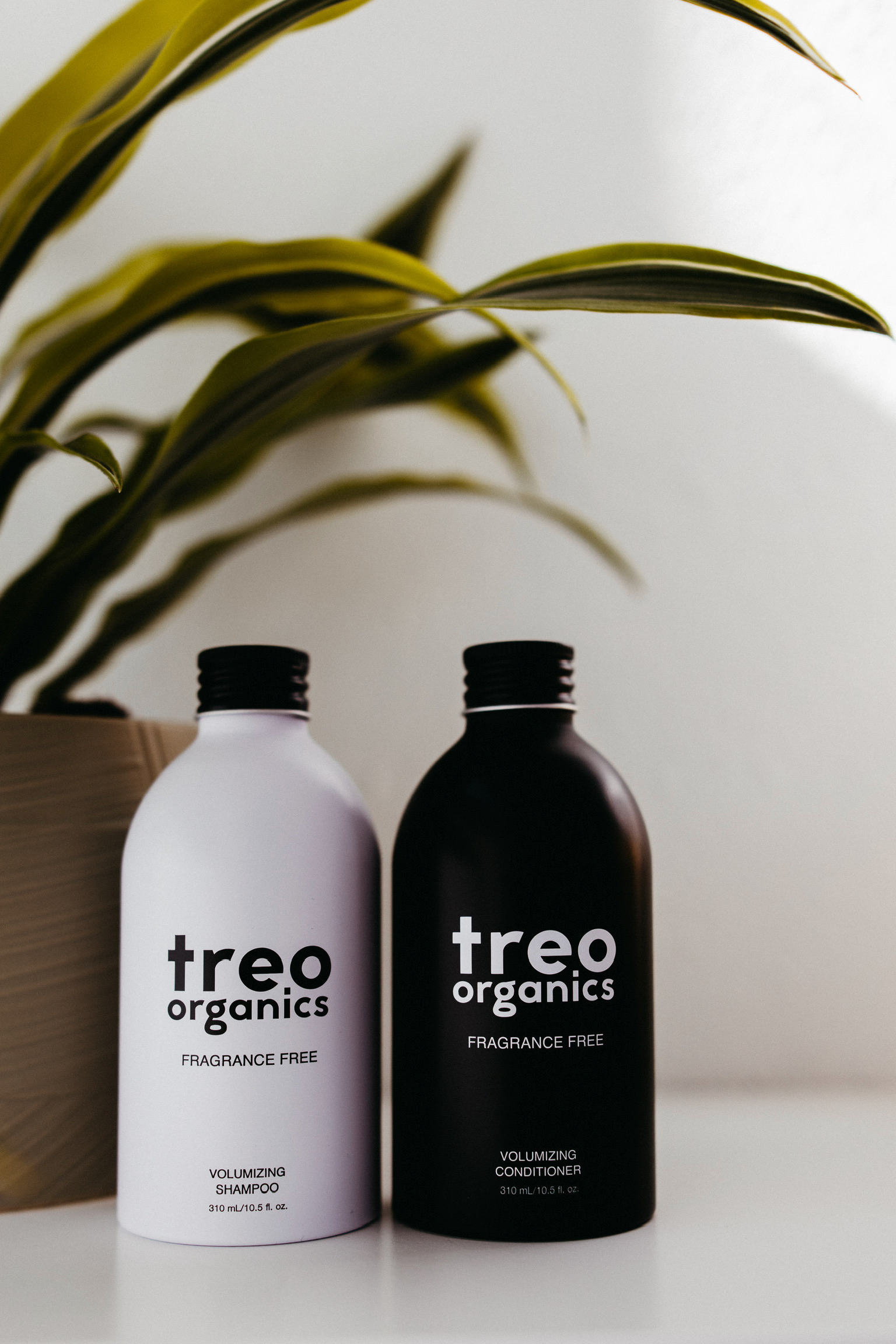 Best Fragrance-Free Shampoo for Sensitive Scalp (2026 Guide)