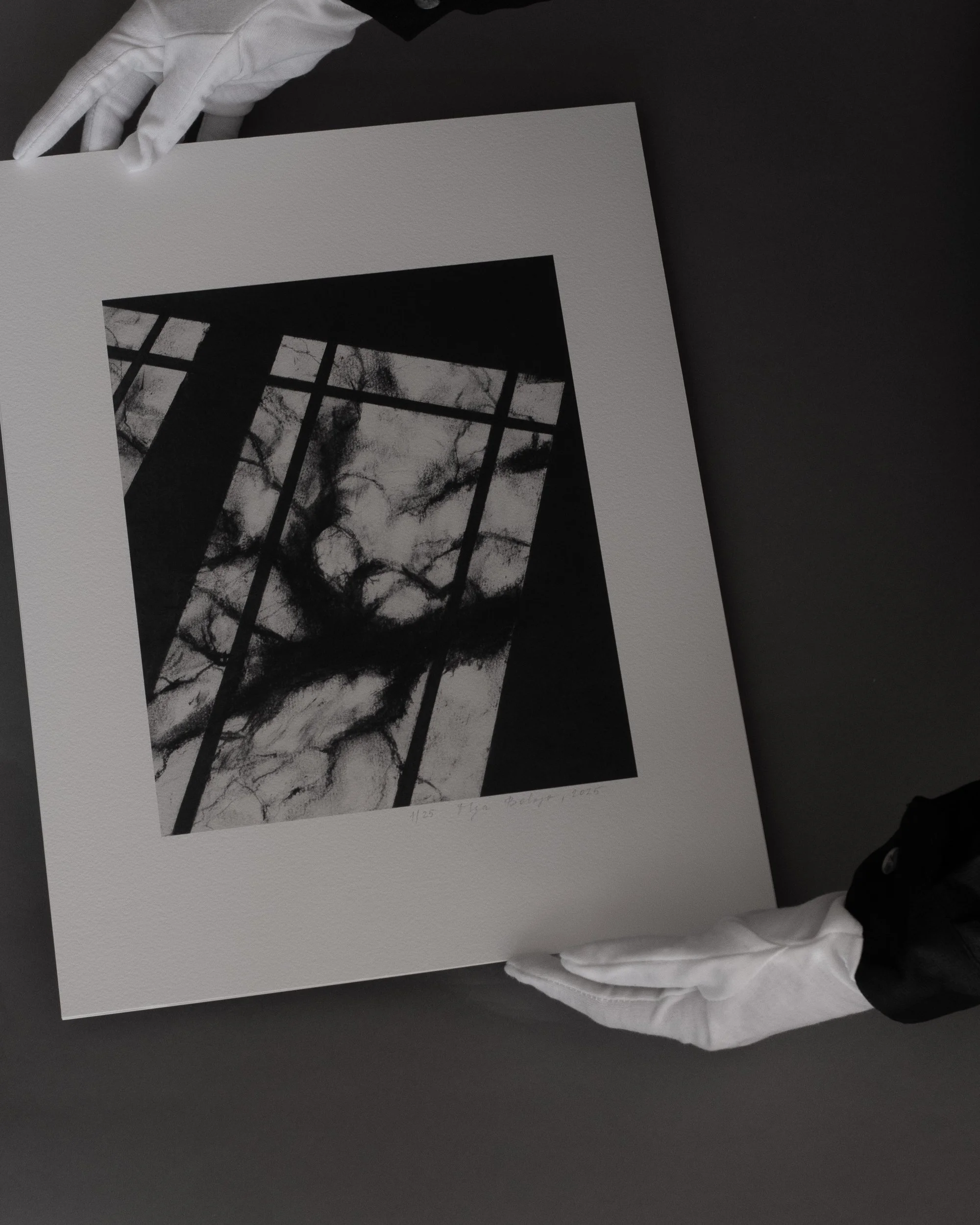 komorebi-shadow-of-trees-charcoal-scale-hands-2.jpg