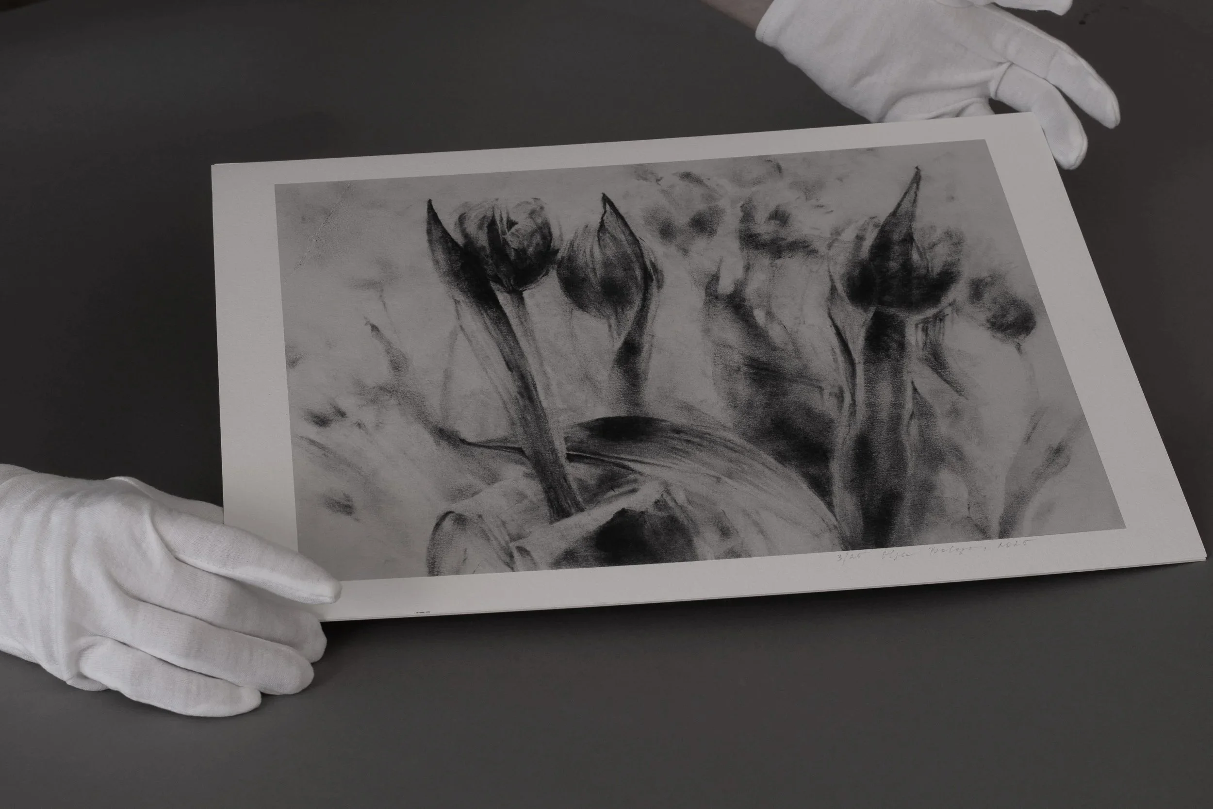 tulips+in+passing-charcoal-florals-scale-hands.jpg