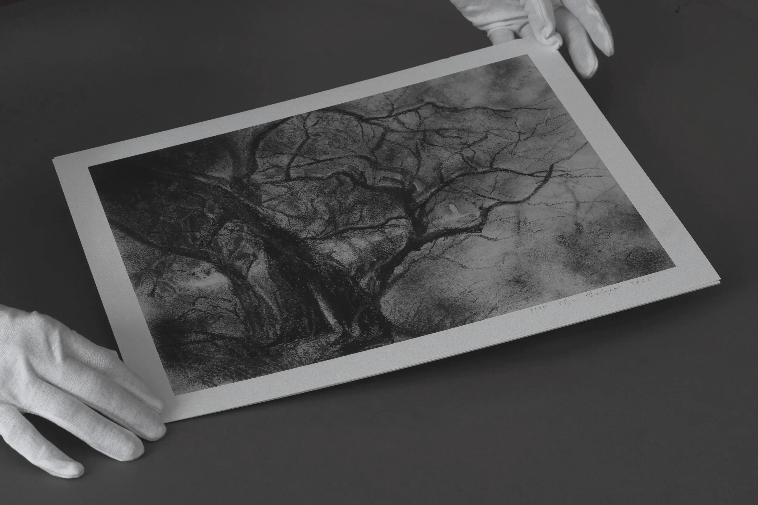 together-charcoal-two-trees-scale-hands.webp