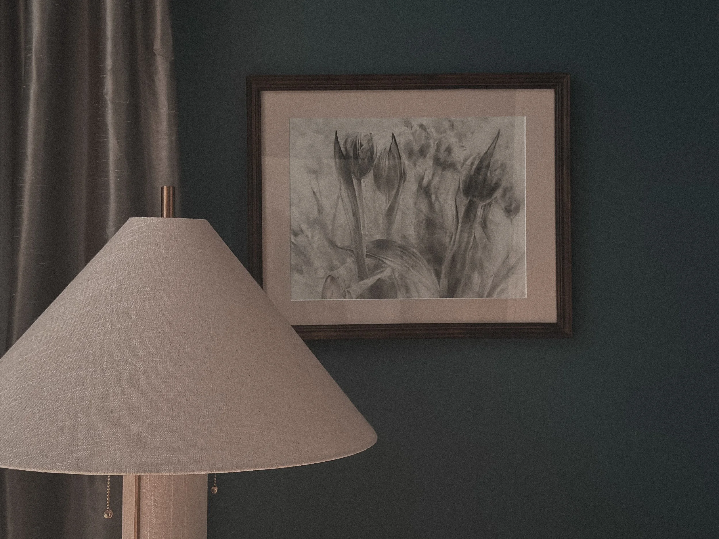 Tulips in Passing — Limited Edition Charcoal Print