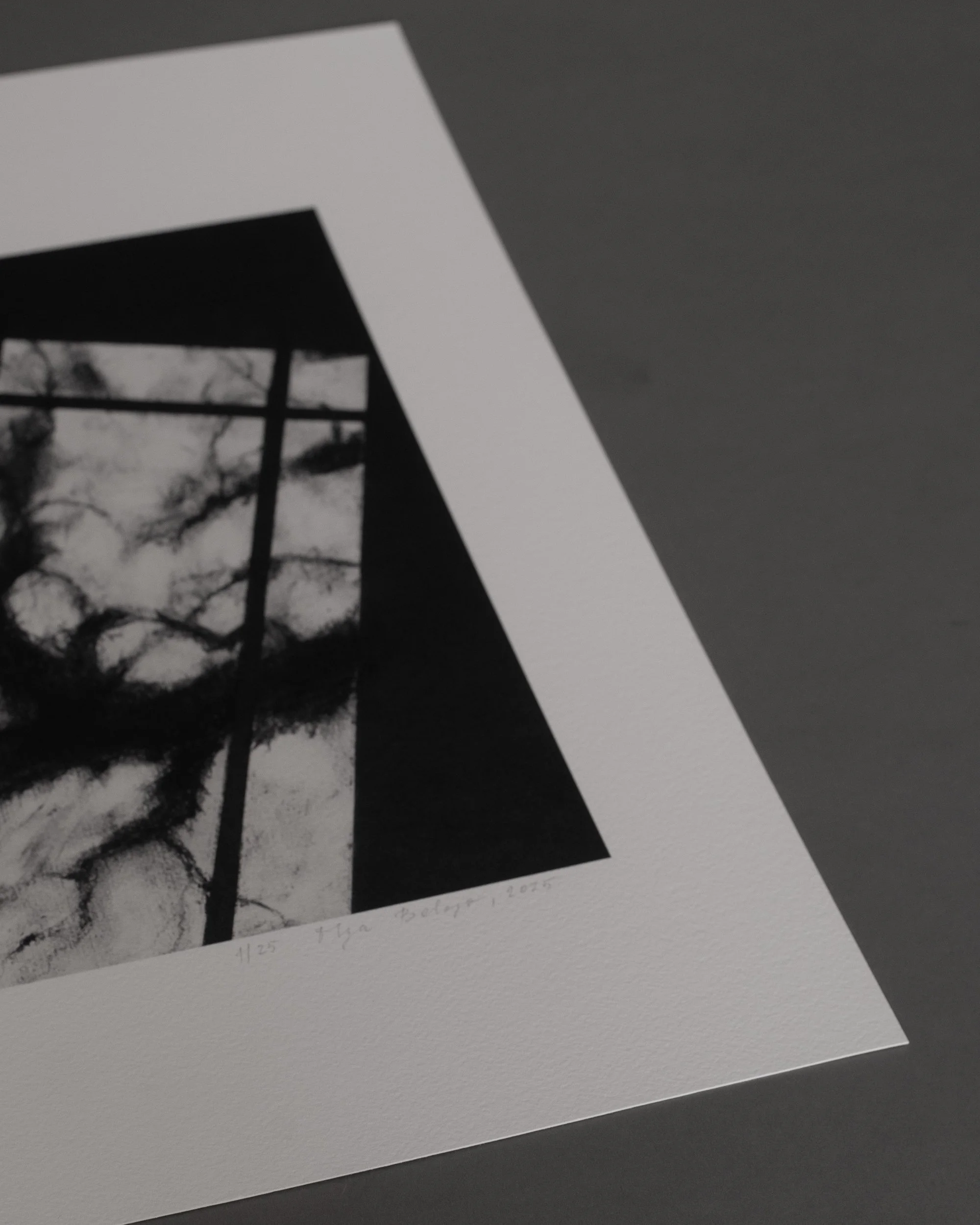 komorebi-shadow-of-trees-charcoal-detail-signature-2.jpg