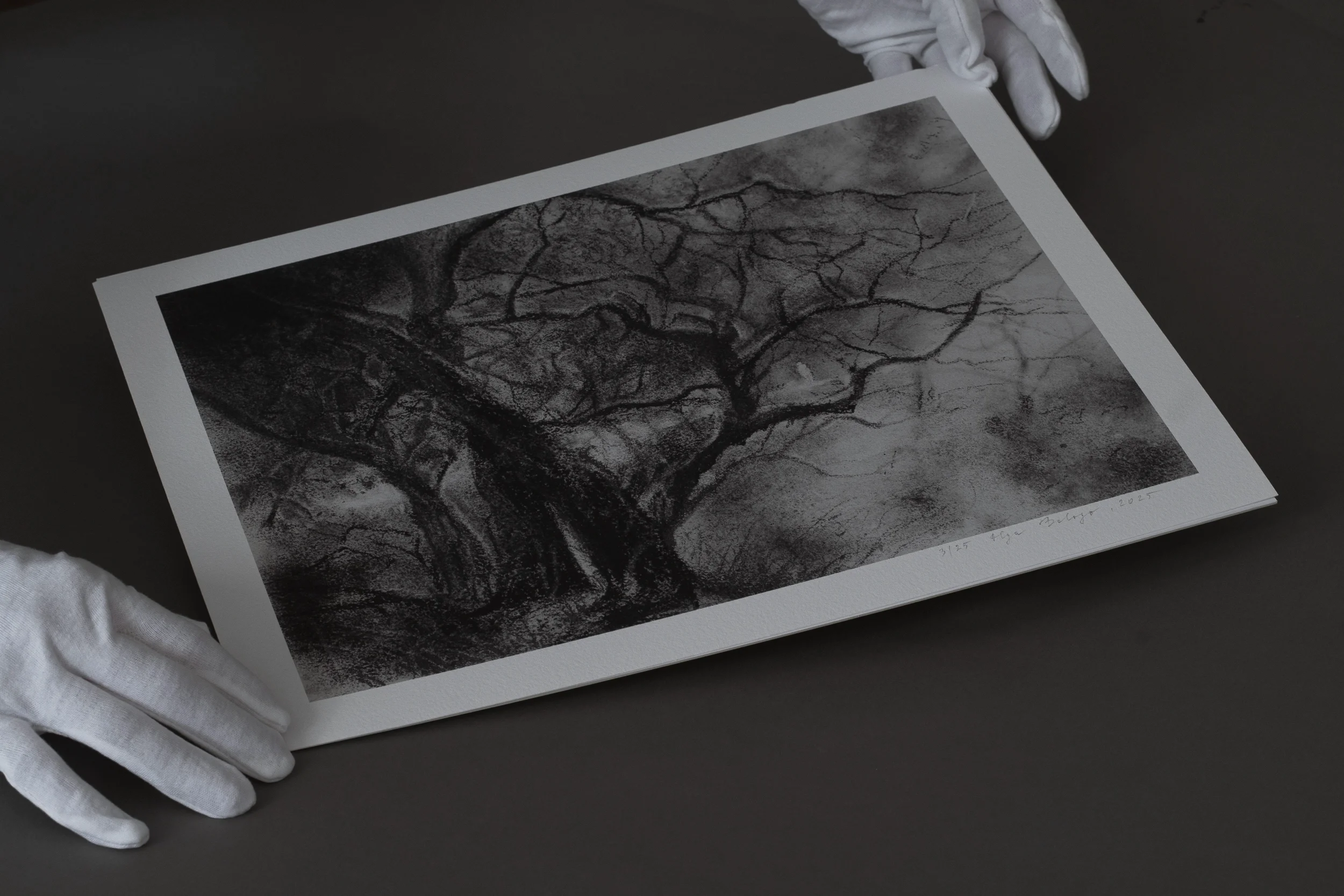 together-charcoal-two-trees-scale-hands.webp