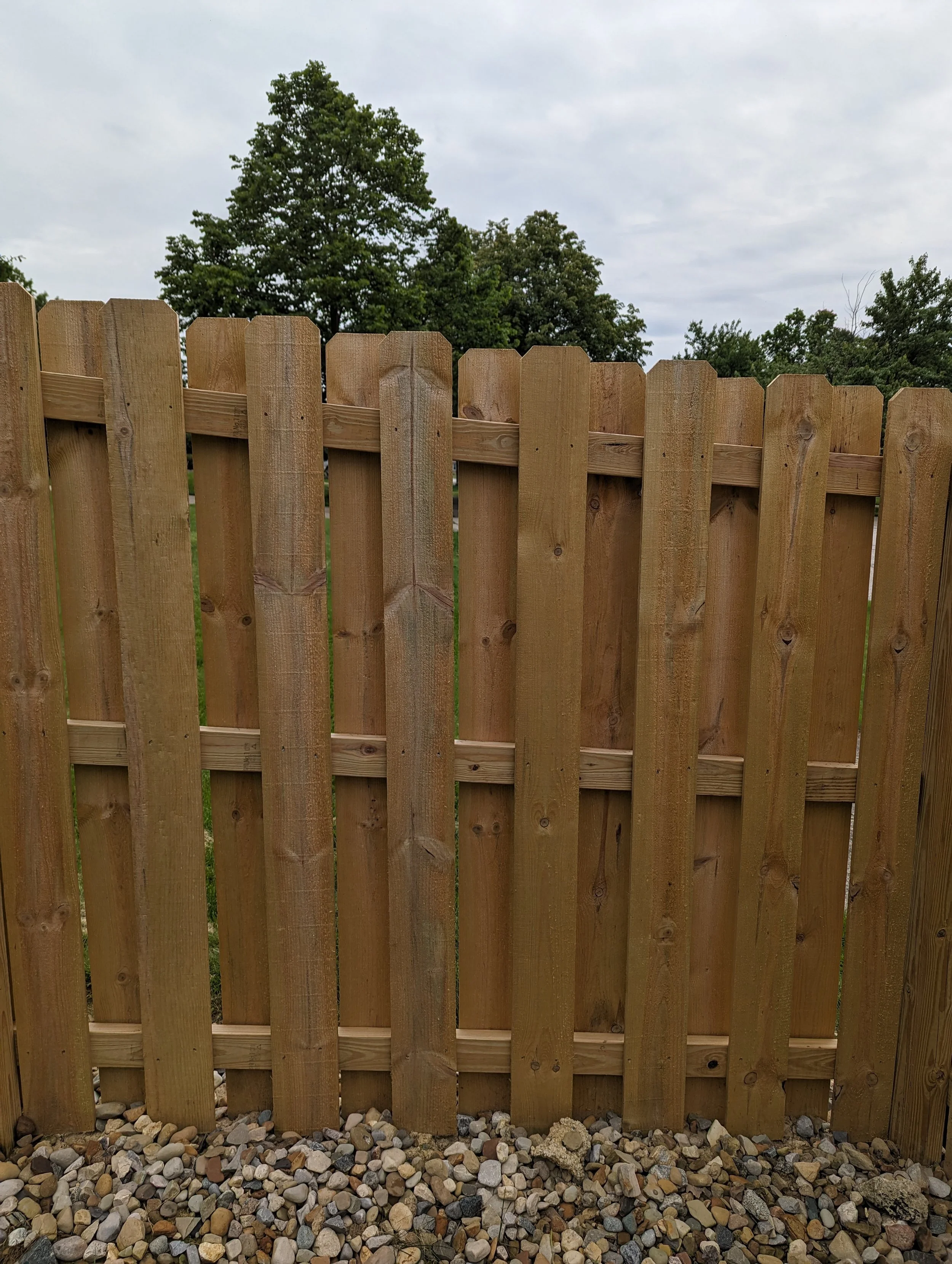 fencebefore1.jpg