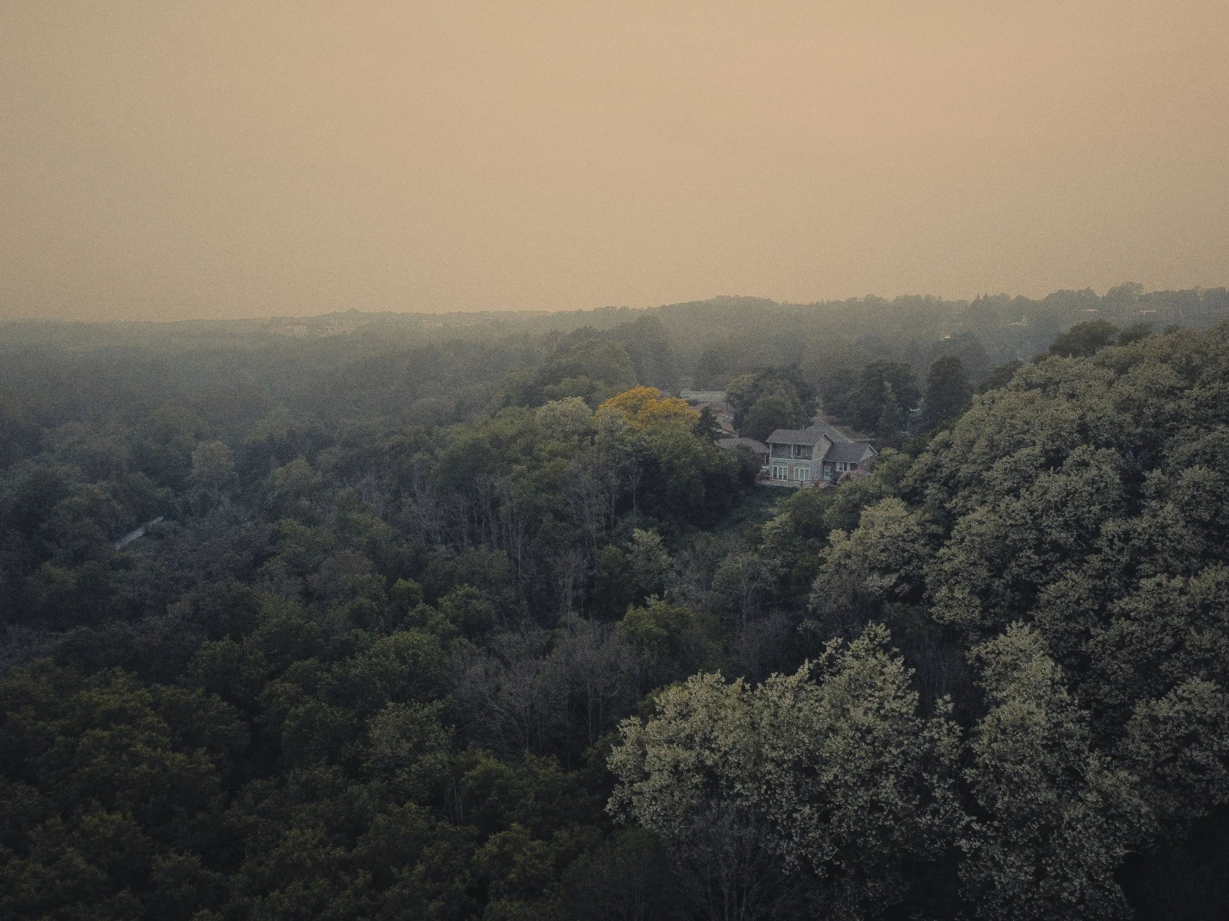A view of a suburban neighborhood surrounded by dense green trees, with houses visible in the distance under a hazy sky.