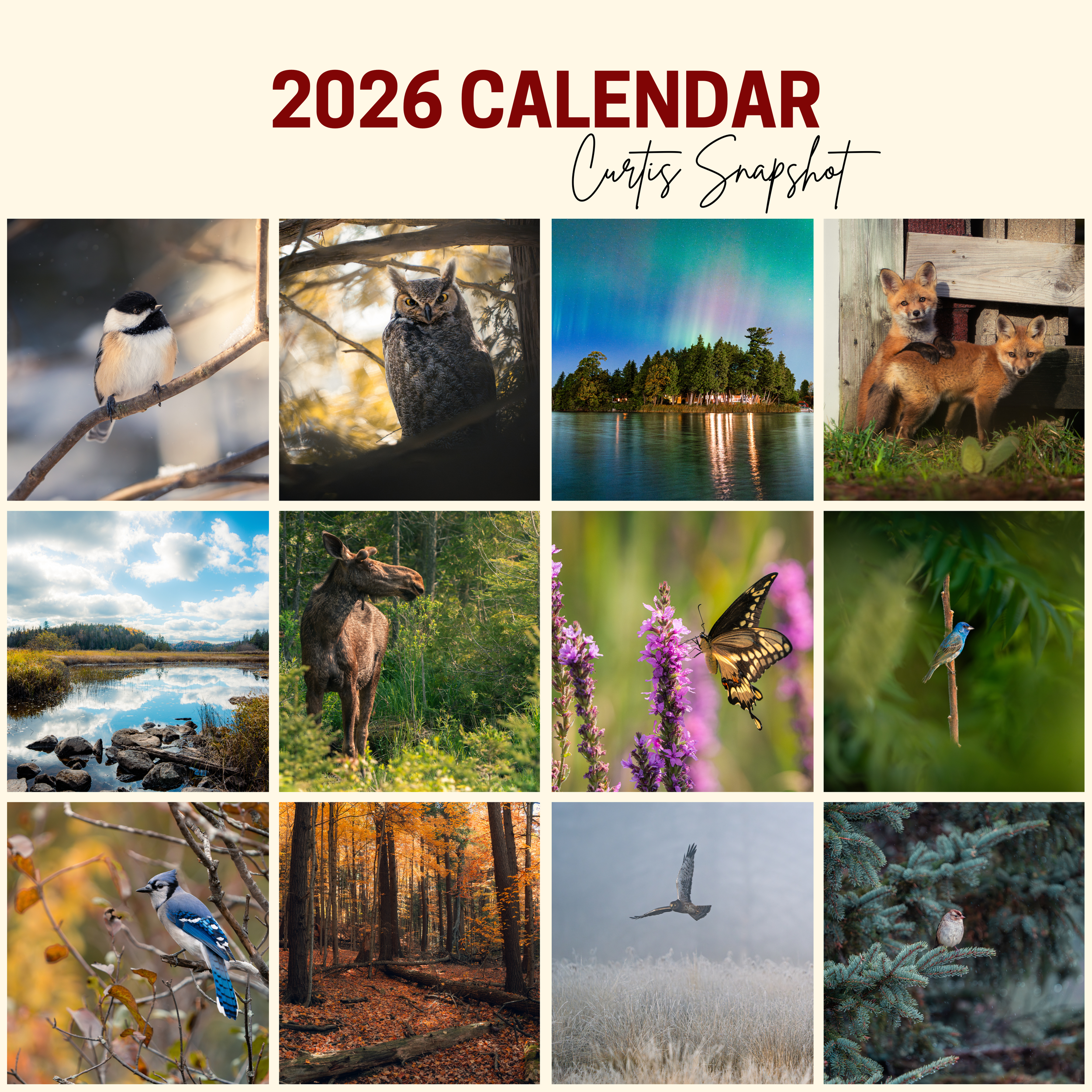 2025 CALENDAR CURTIS SNAPSHOT.png