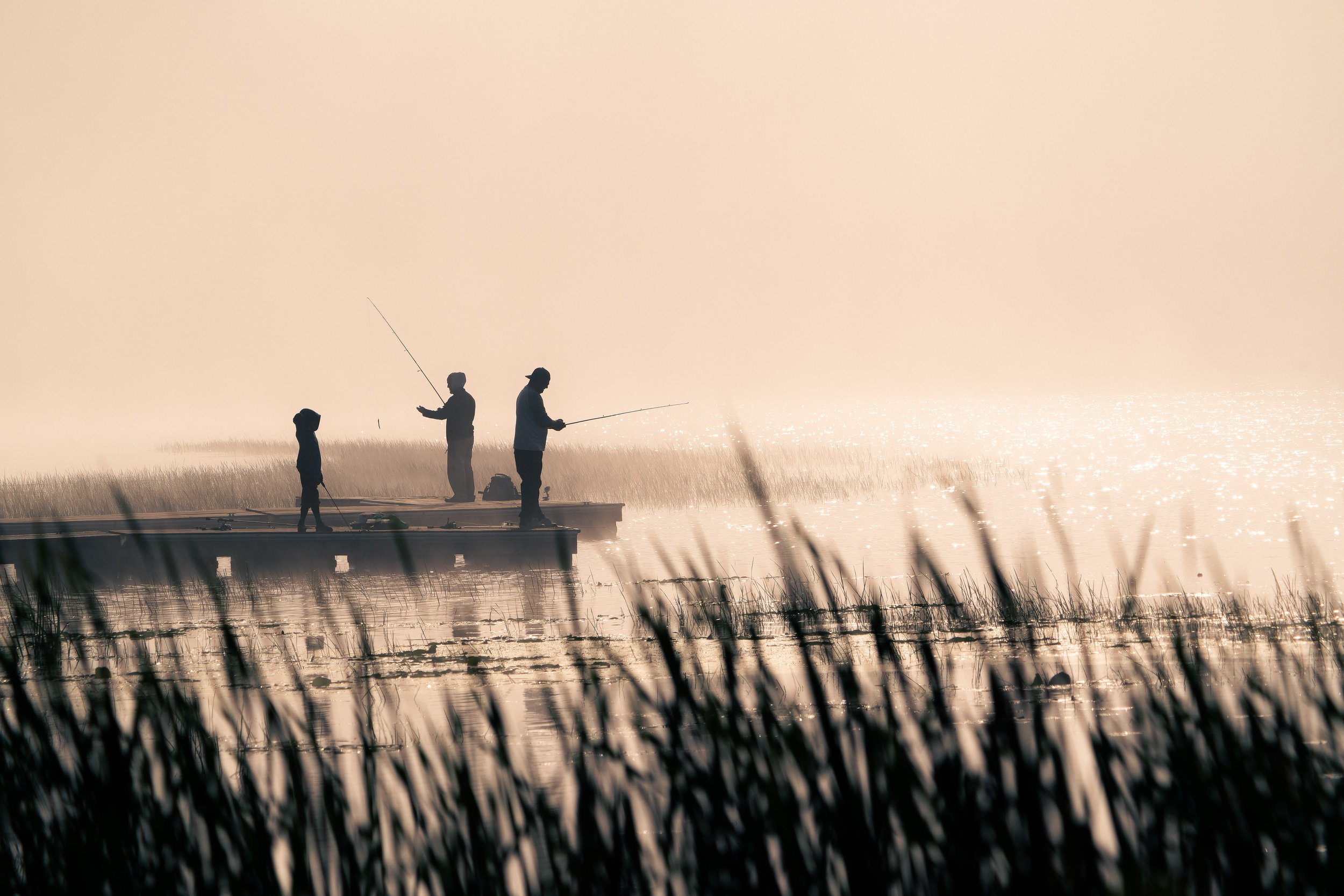 Three people fishing on a dock over water at sunset or sunrise, with tall grasses in the foreground.