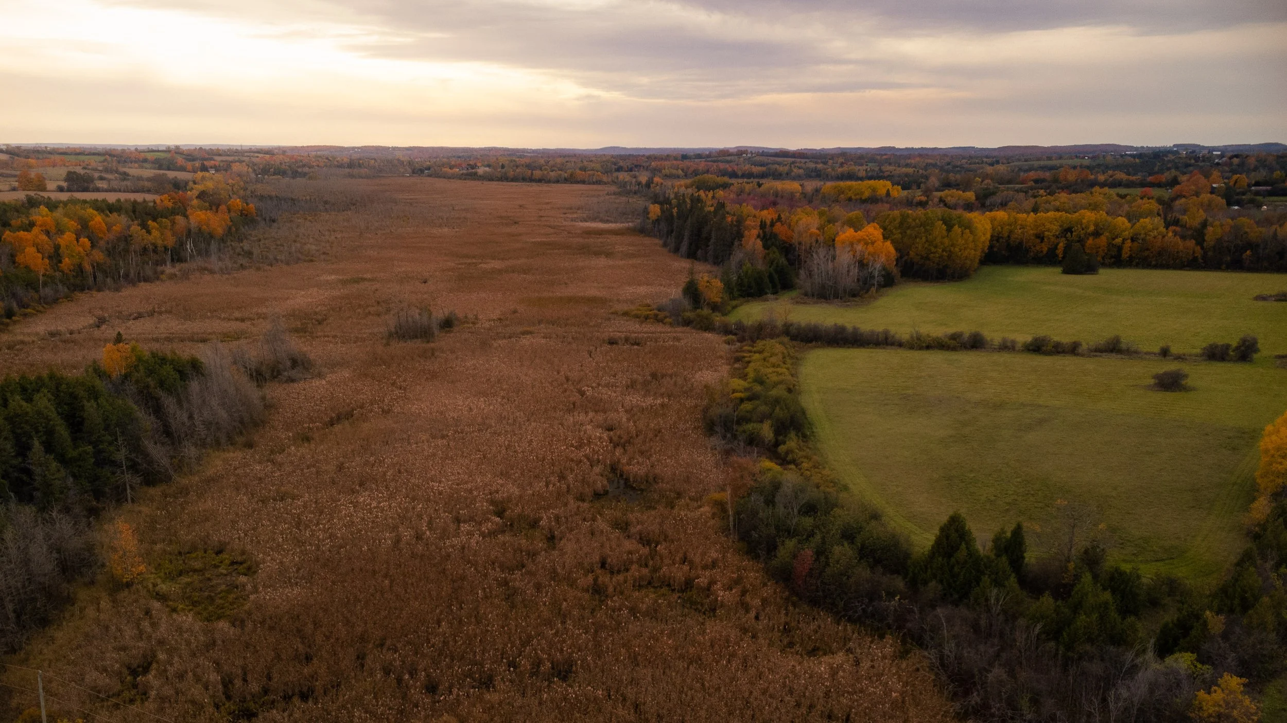 Aerial view of a rural landscape with fields, trees in autumn colors, and overcast sky.