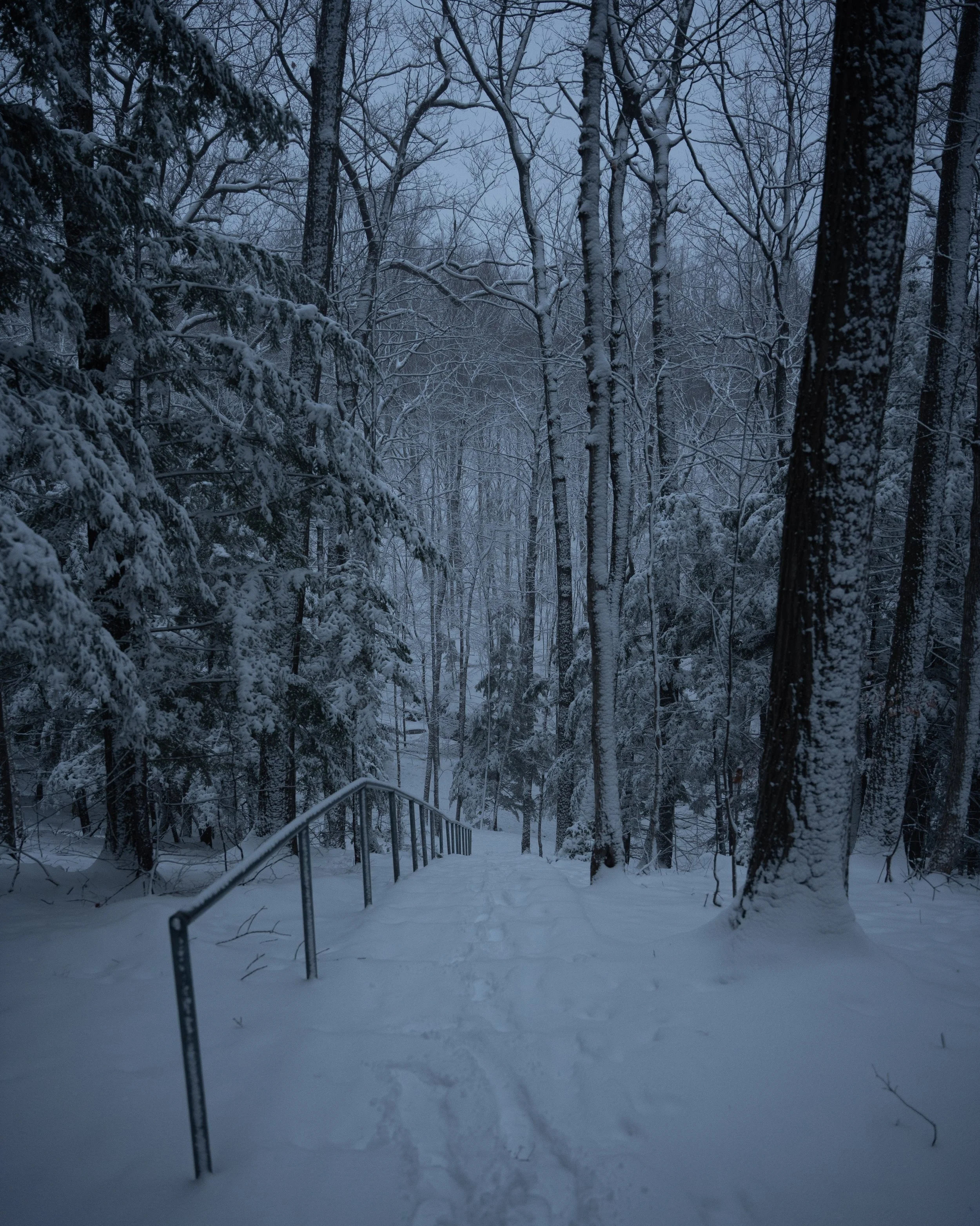 A snow-covered forest path with a metal railing on the left side, surrounded by tall, leafless trees and snow-laden branches, under a cloudy and misty sky.