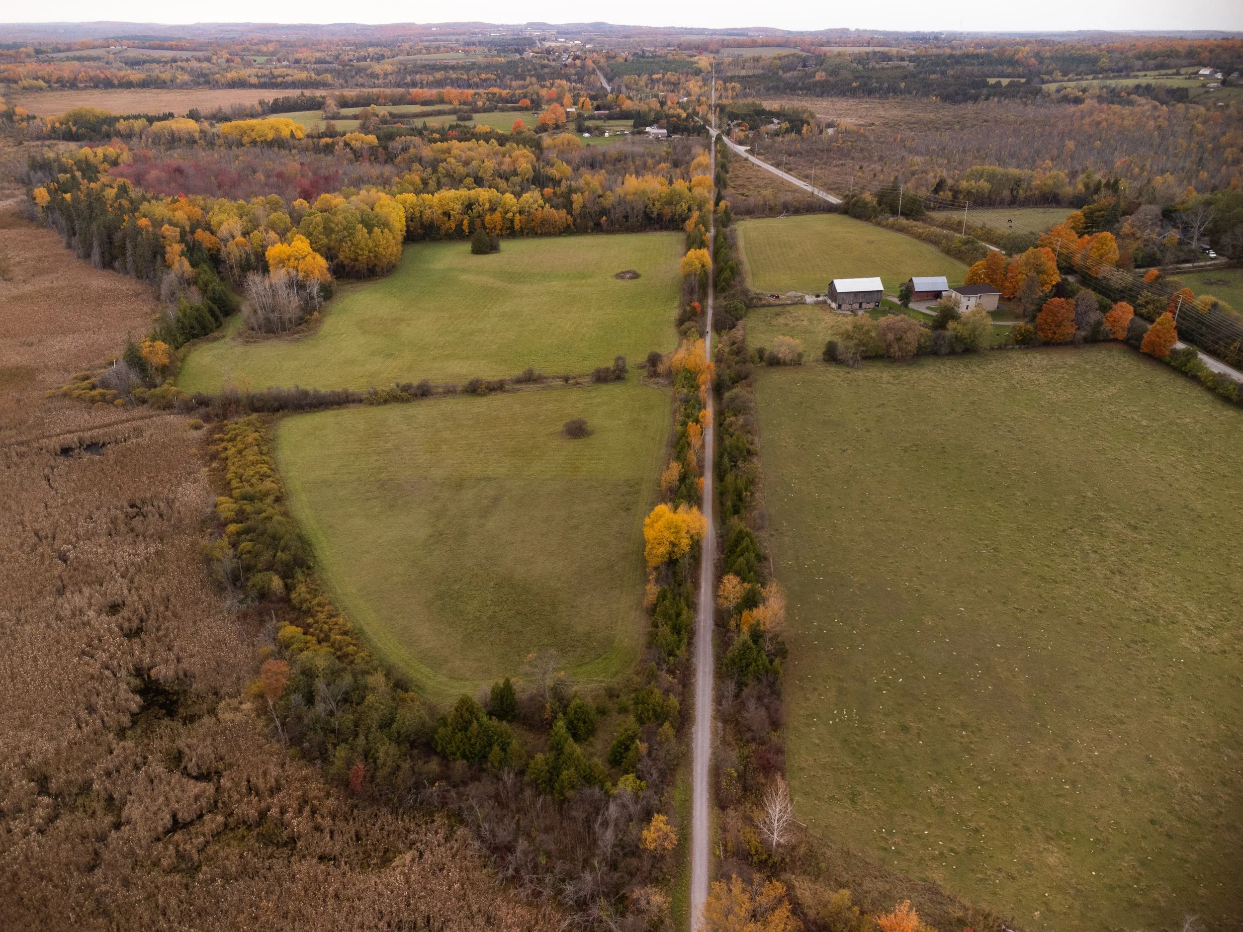 An aerial view of a rural landscape during fall, featuring a long straight road lined with trees, open fields, and scattered buildings.