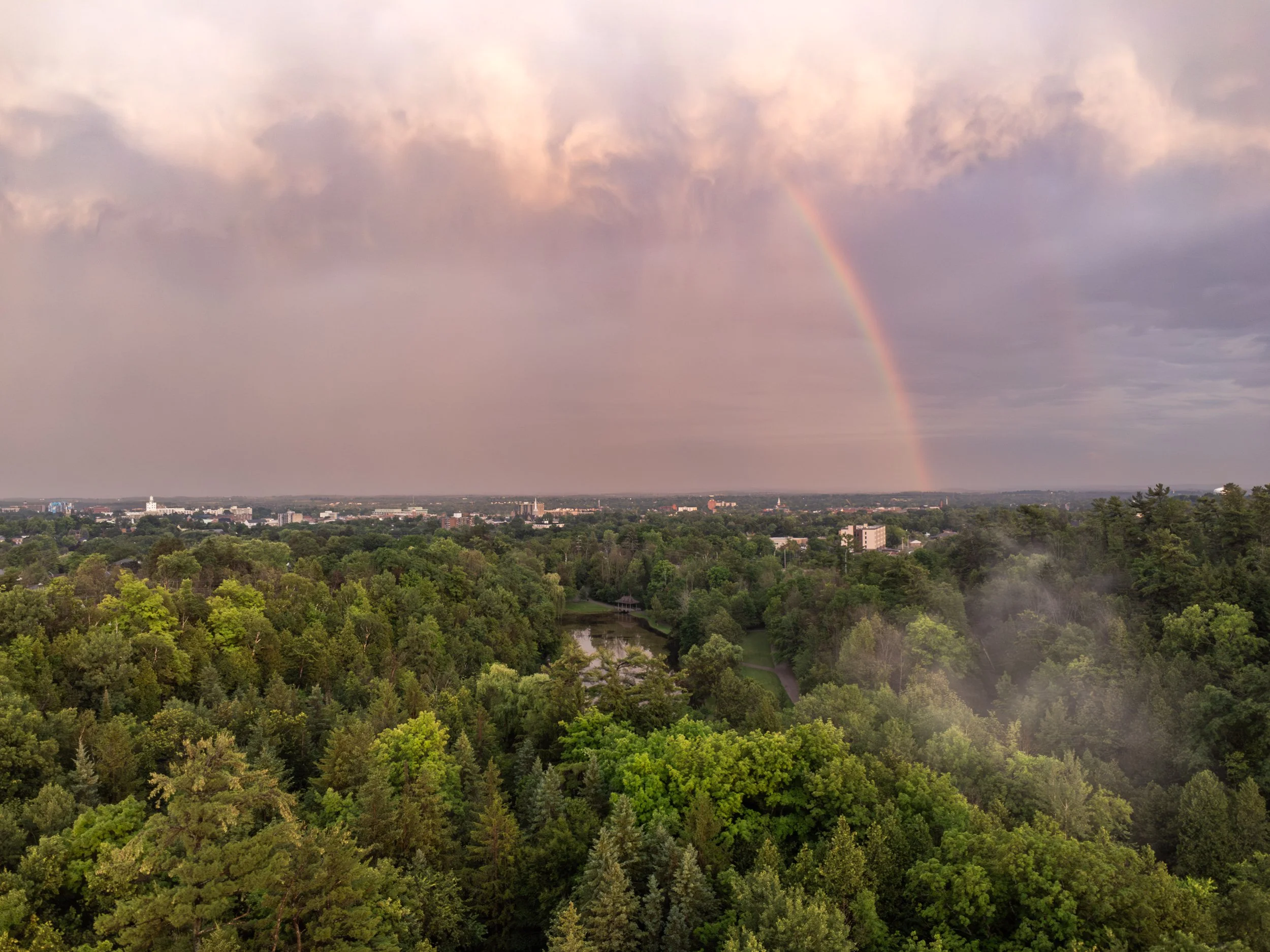 A panoramic view of a cityscape with a dense forest in the foreground, a cloudy sky with a faint rainbow, and buildings and trees in the background.