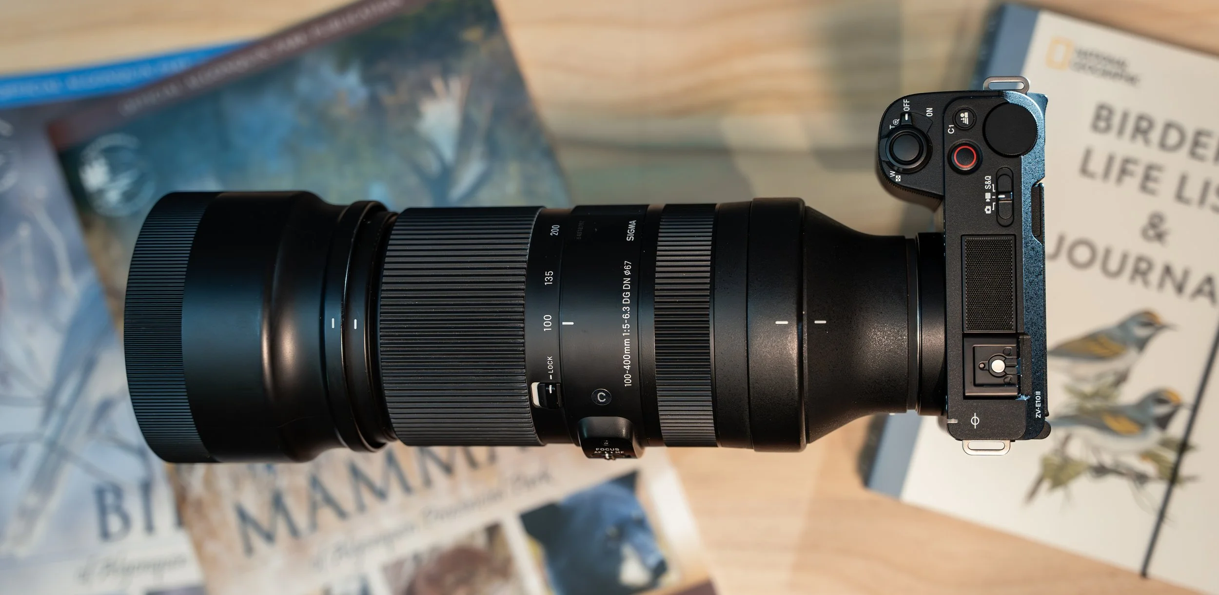 I Tried Wildlife Photography With The Sony ZV-E10 II
