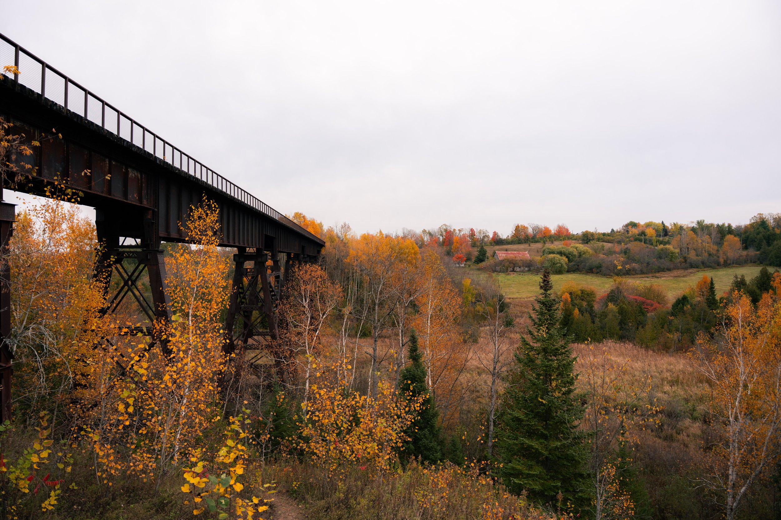 A steel railway bridge extending across a valley with fall foliage on the surrounding trees, and an overcast sky.