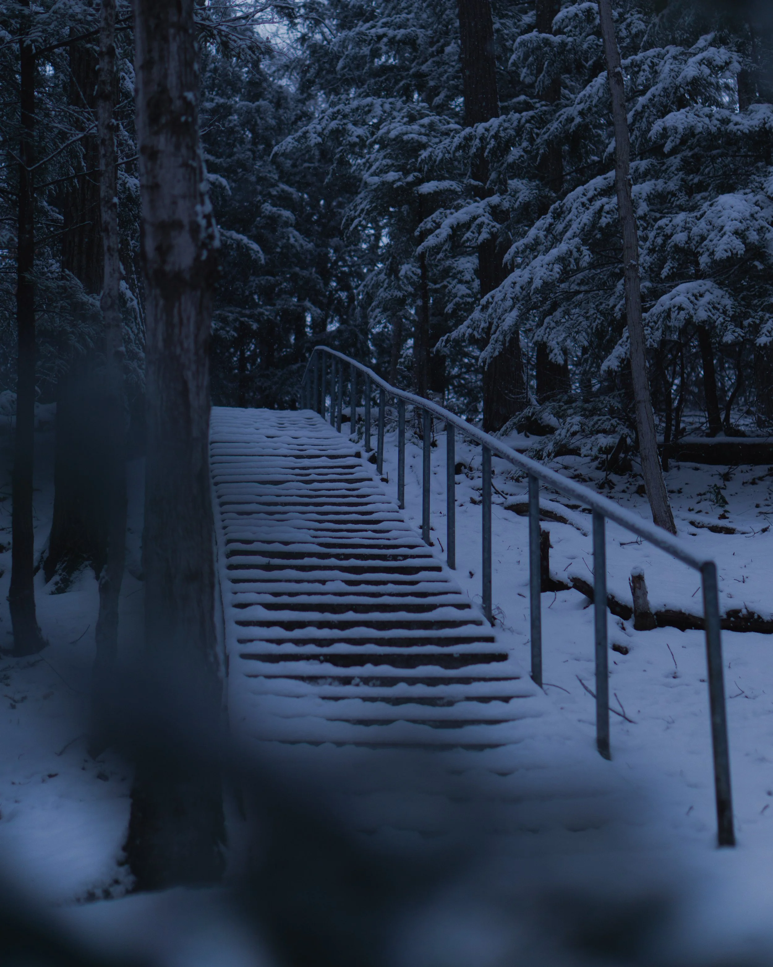 Snow-covered wooden stairs leading into a dark forest at dusk, with snow on the ground and trees.