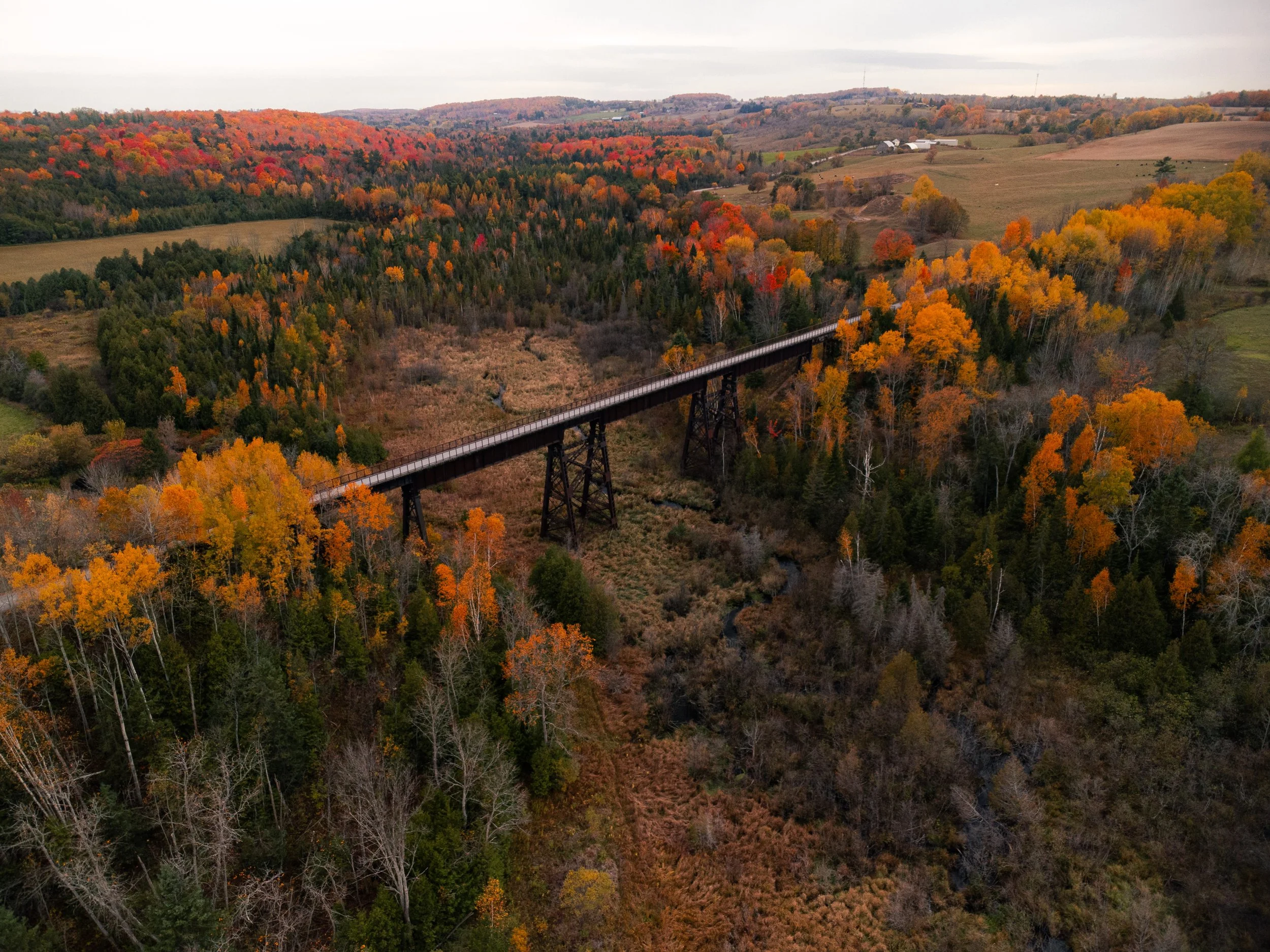 DJI_0125-Edit.jpg
