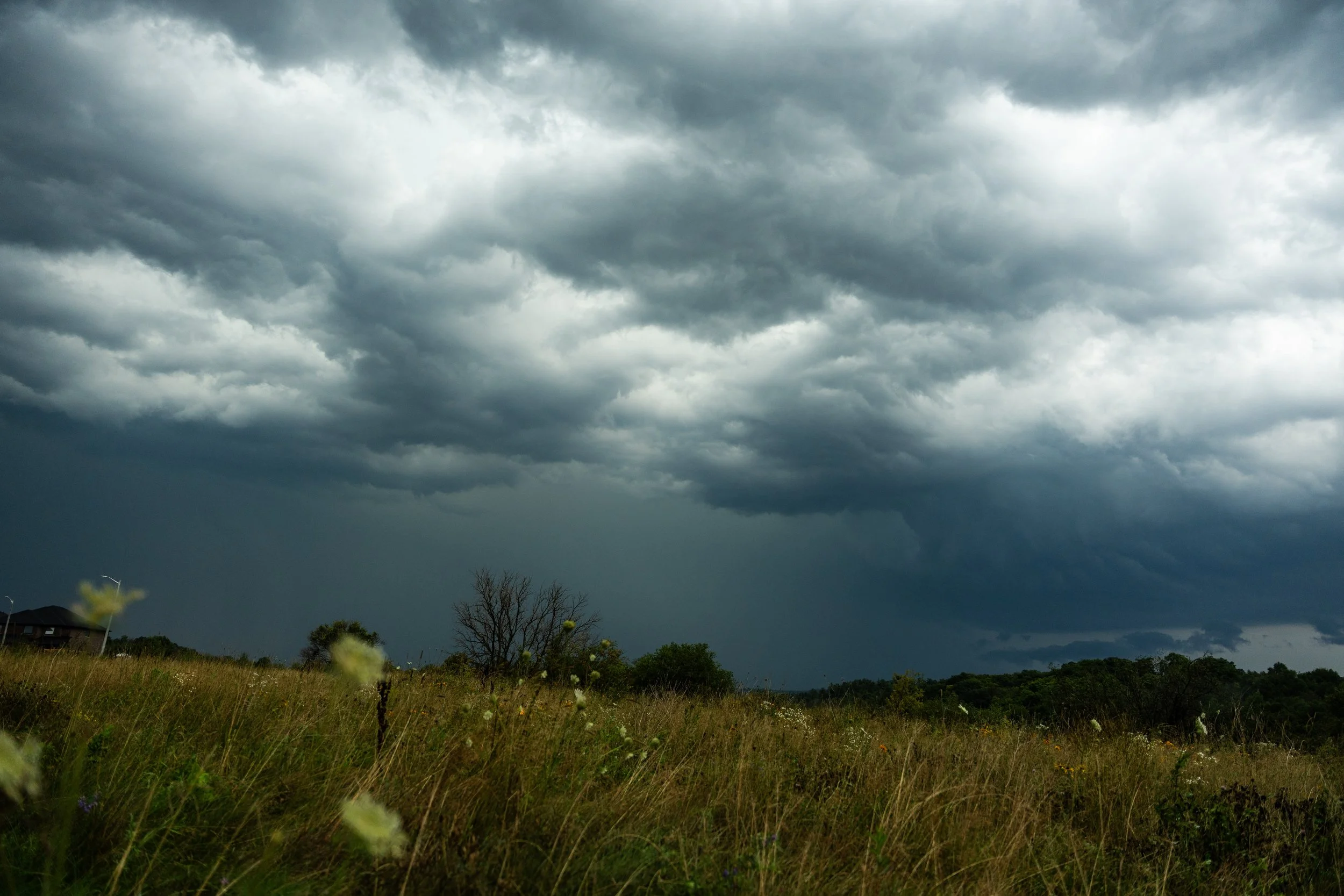 Dark storm clouds gathering over a field with sparse trees and some small houses in the background.