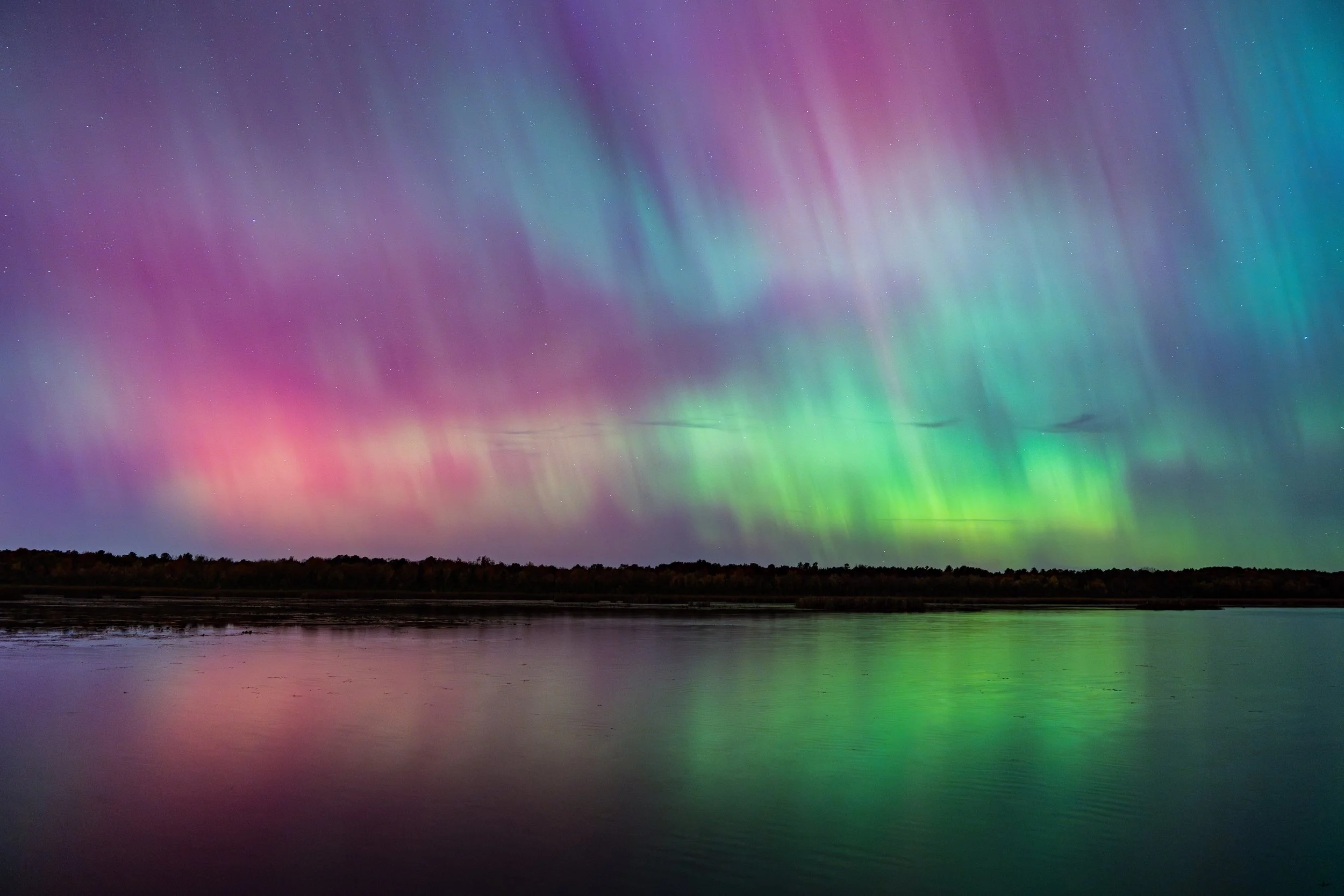 Northern lights (aurora borealis) in the night sky with pink, purple, green, and blue colors over a calm body of water and a silhouette of trees.